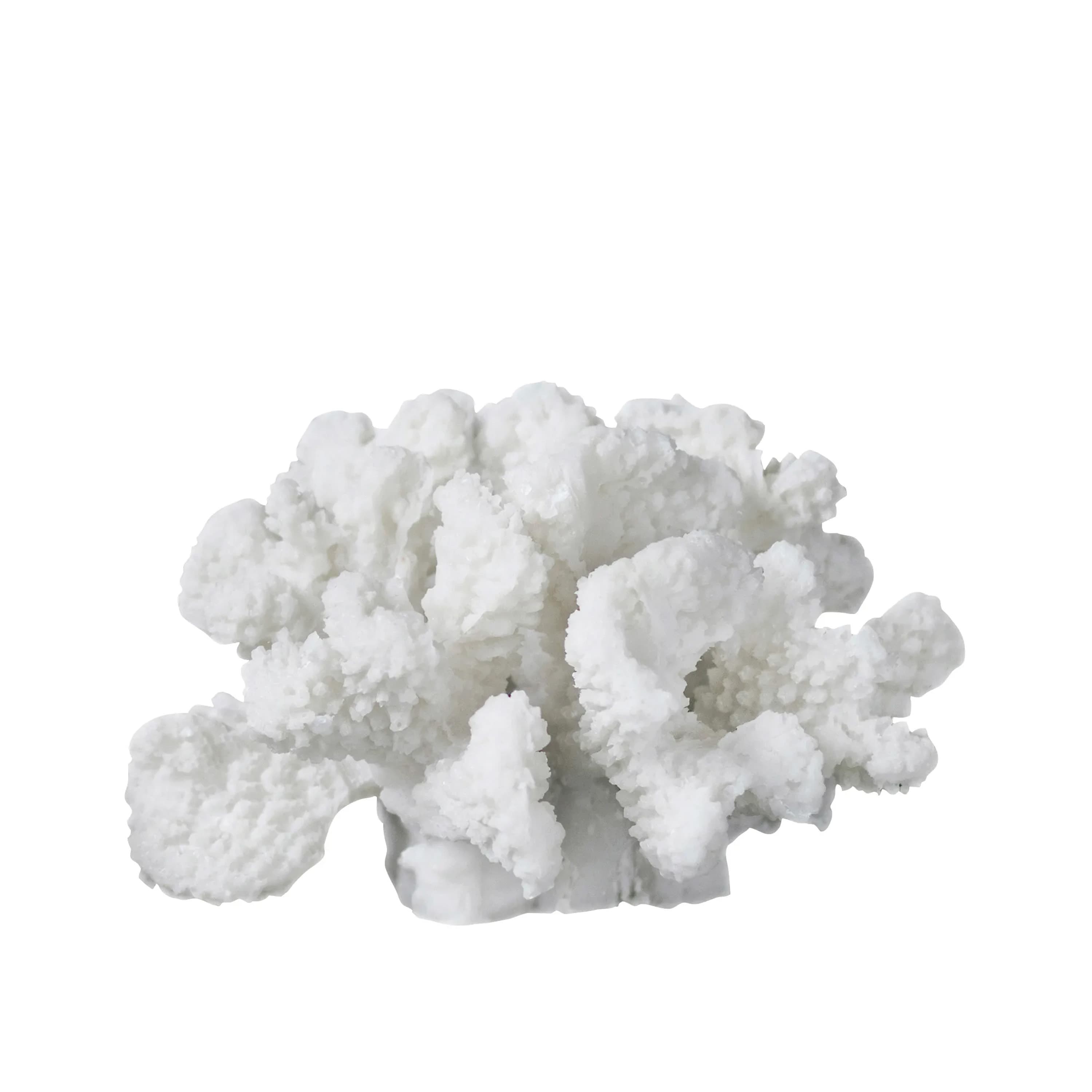 Coral Branches koriste white s