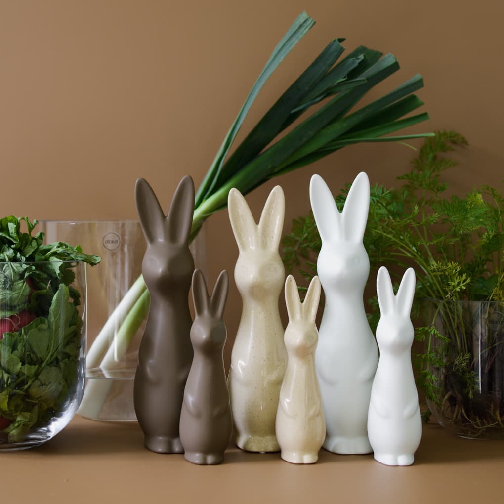 Swedish Rabbit Koriste  Valkoinen Large
