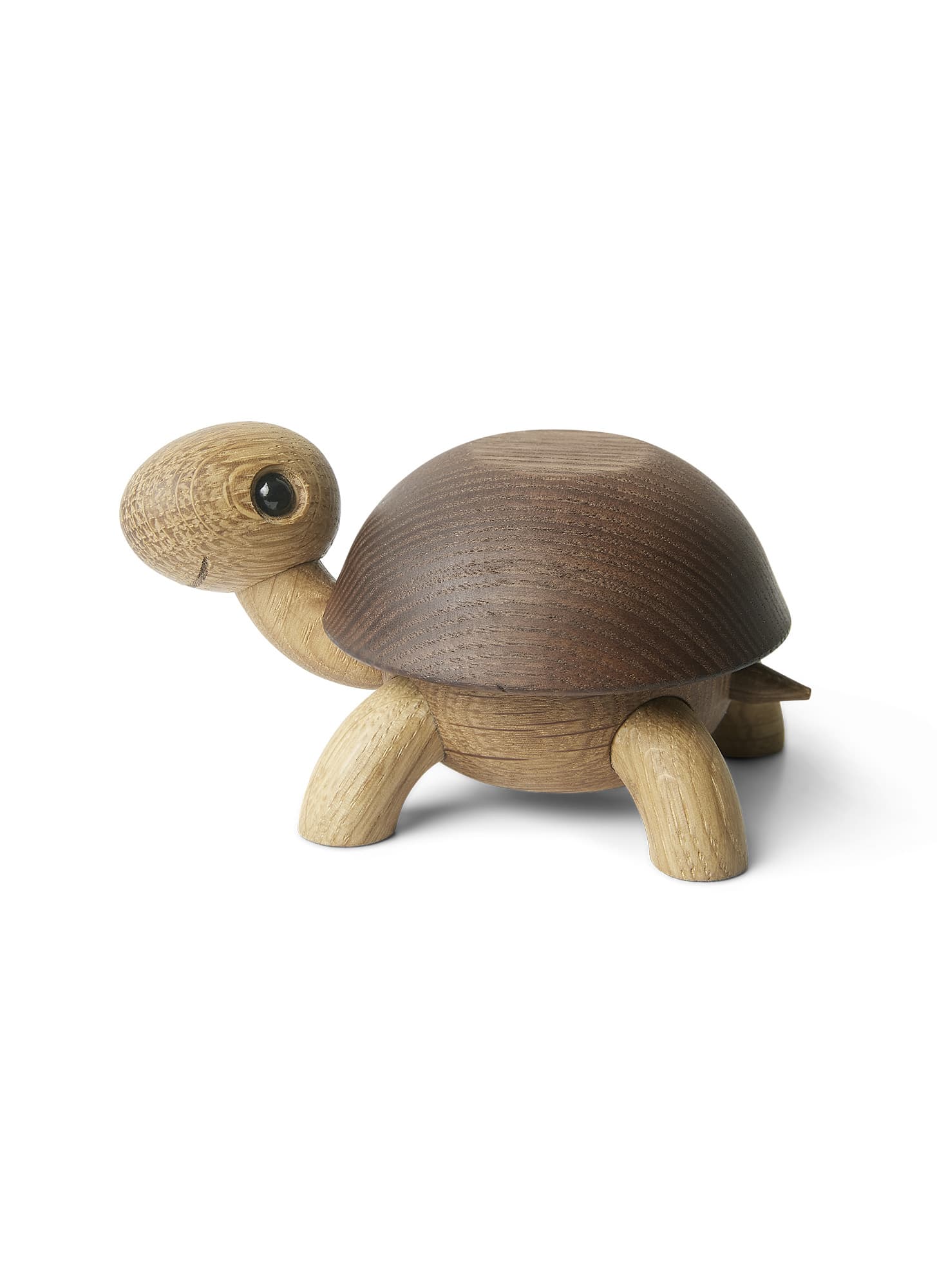 Speedy Kilpikonna Koriste 4cm