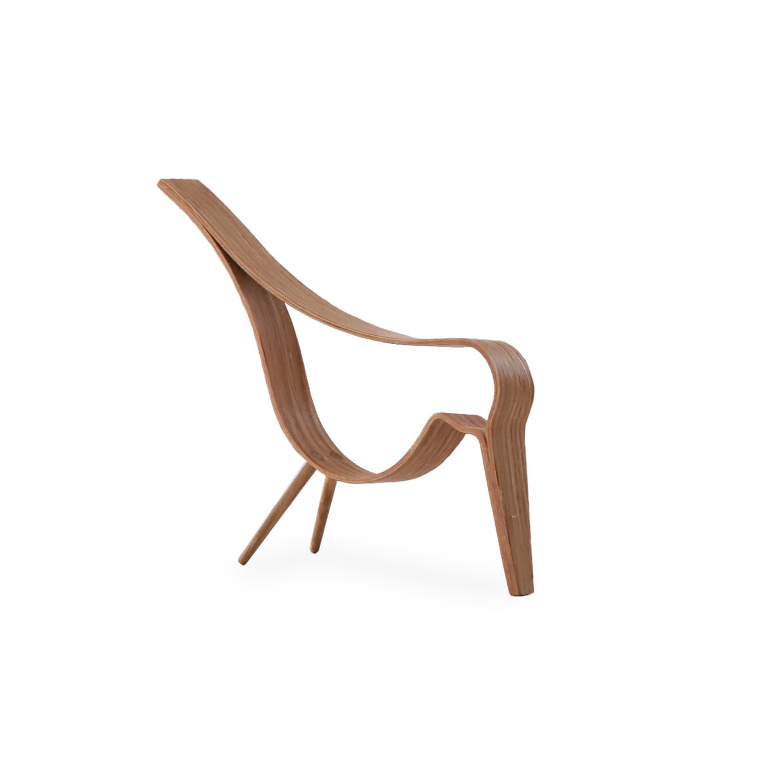 Woody Bird Koriste tammi Medium