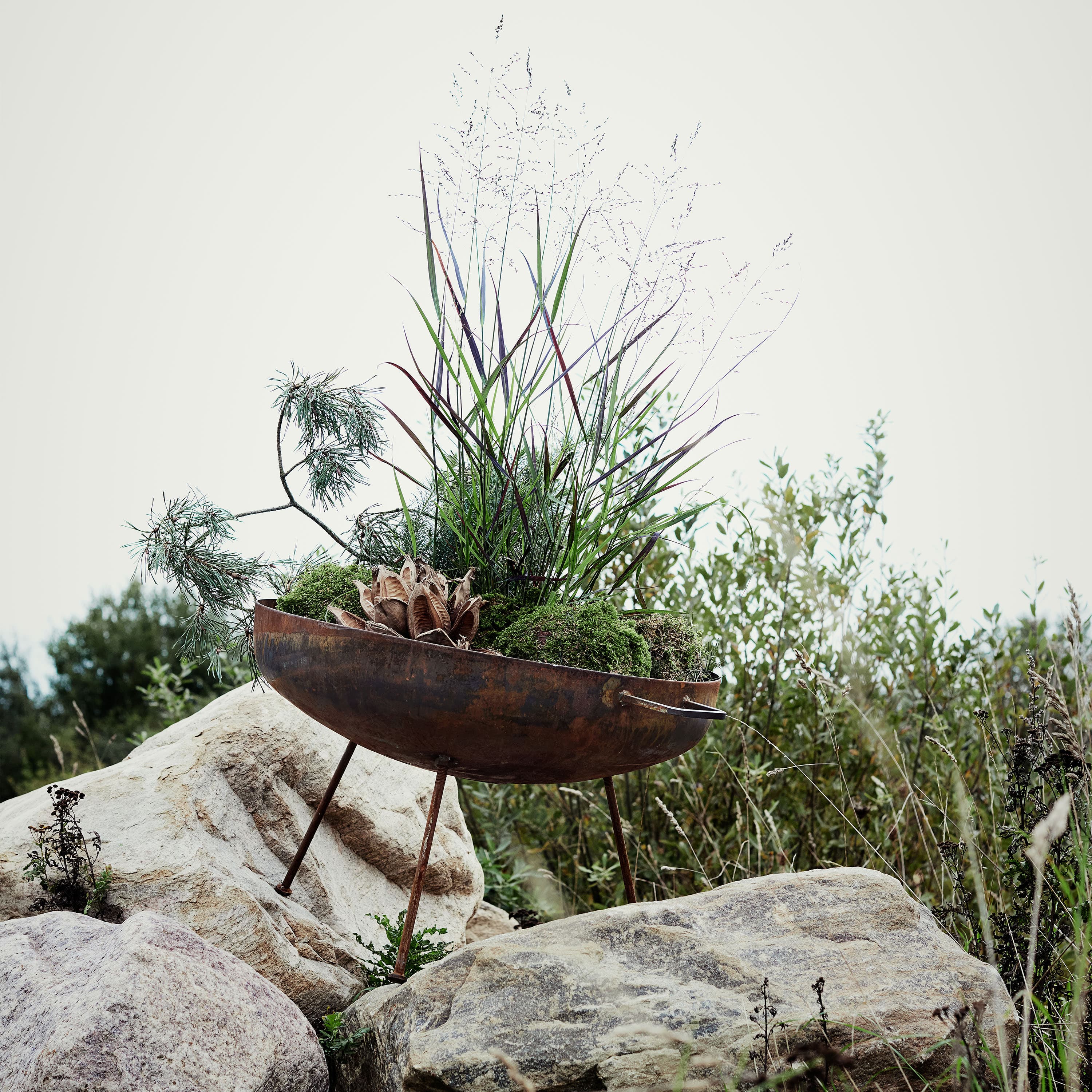 Sabi Tulipesä Rusted Iron Ø64