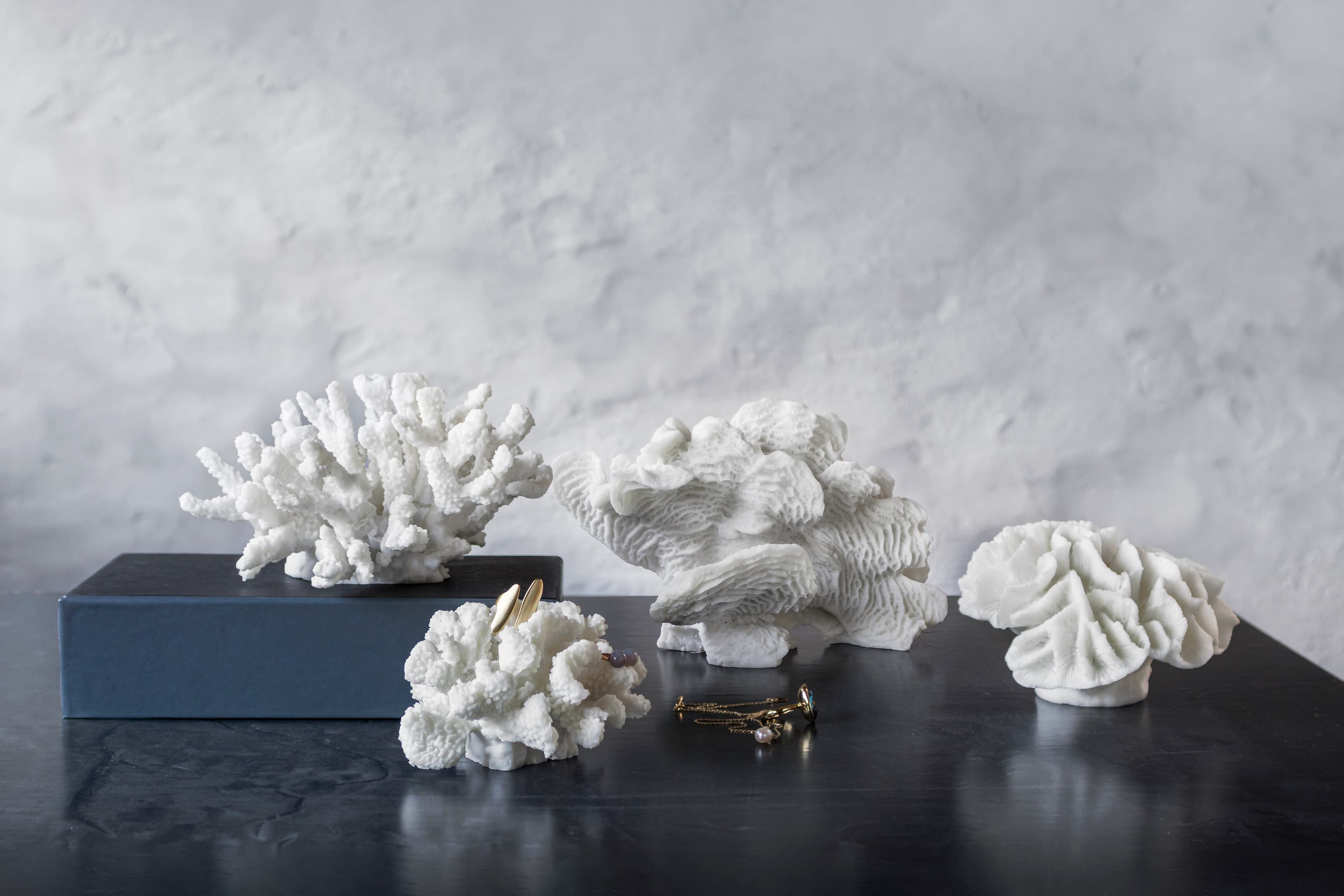 Coral Fan Dekoraatio Valkoinen