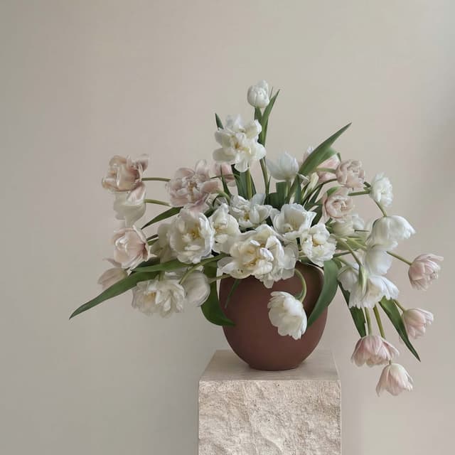 Sunao Maljakko Almond Mini