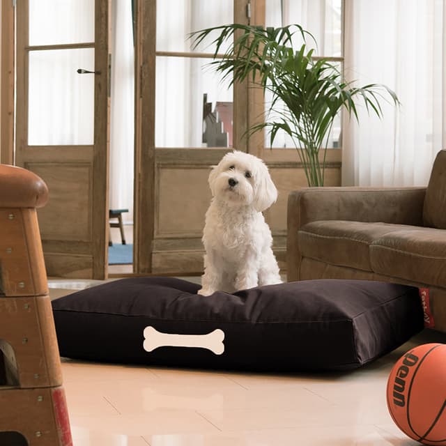 Doggielounge Recycled Mustalakritsi 120 cm