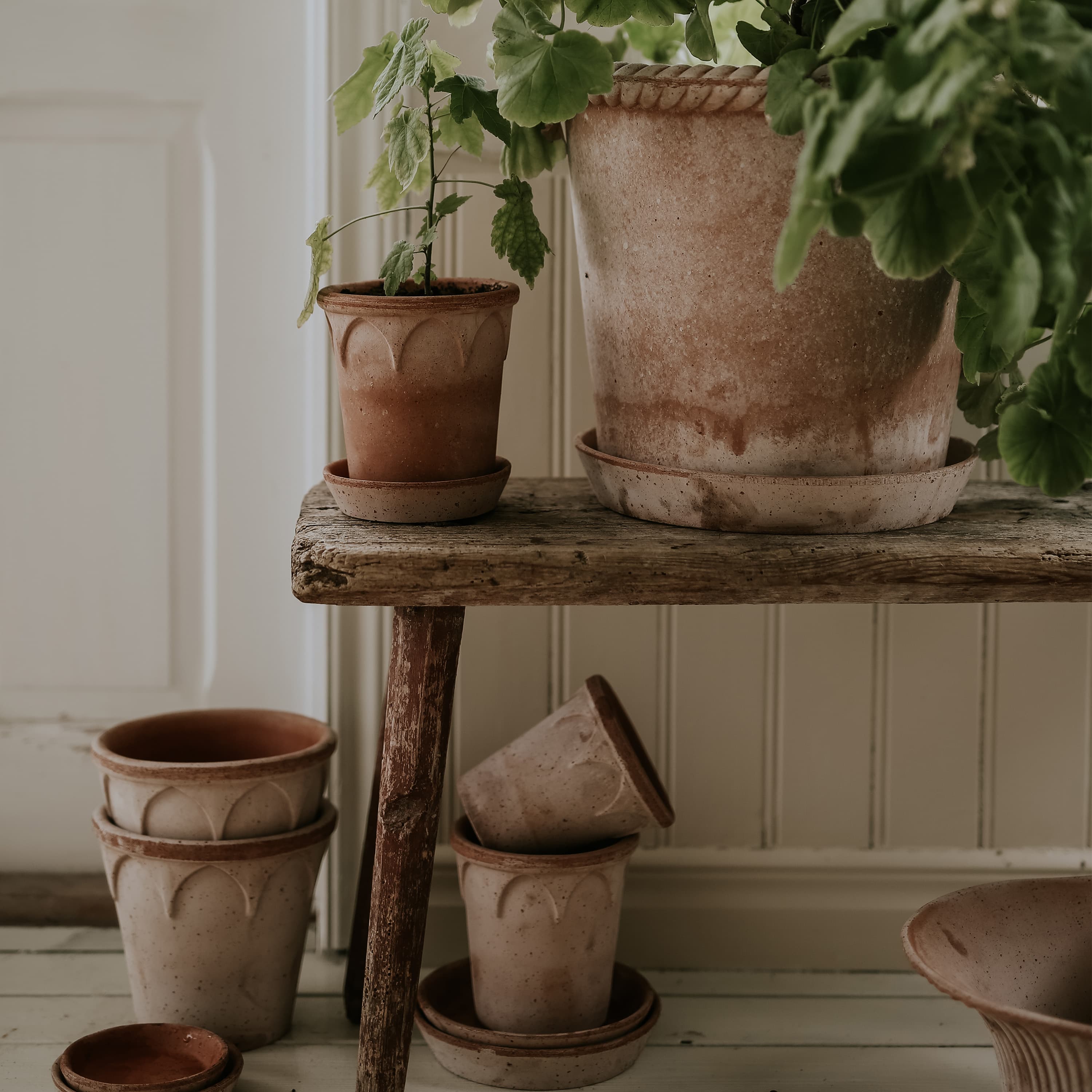 Elizabeth-ruukku lautasella Raw Pink Terracotta Ø16