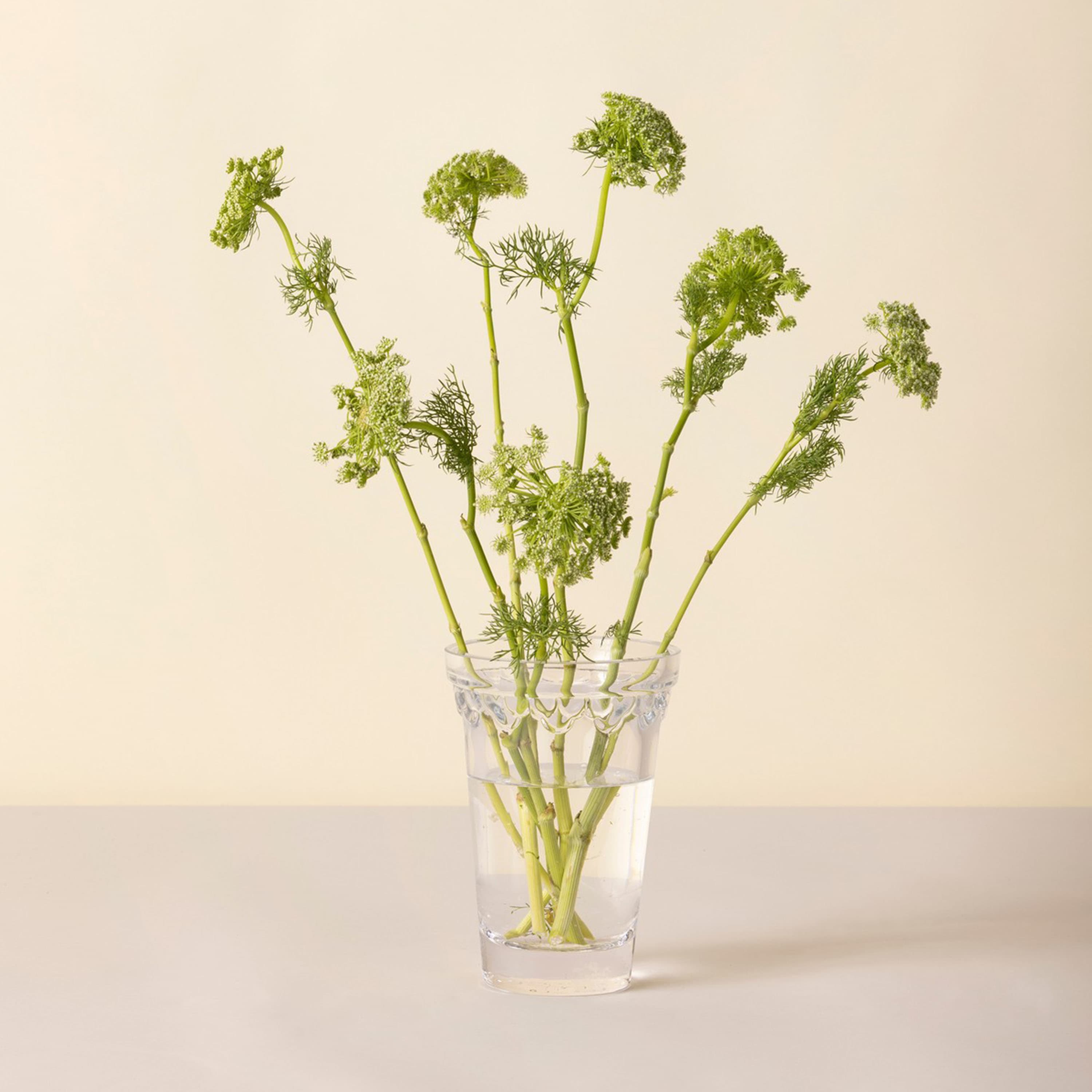Københavner Maljakko Clear 19cm