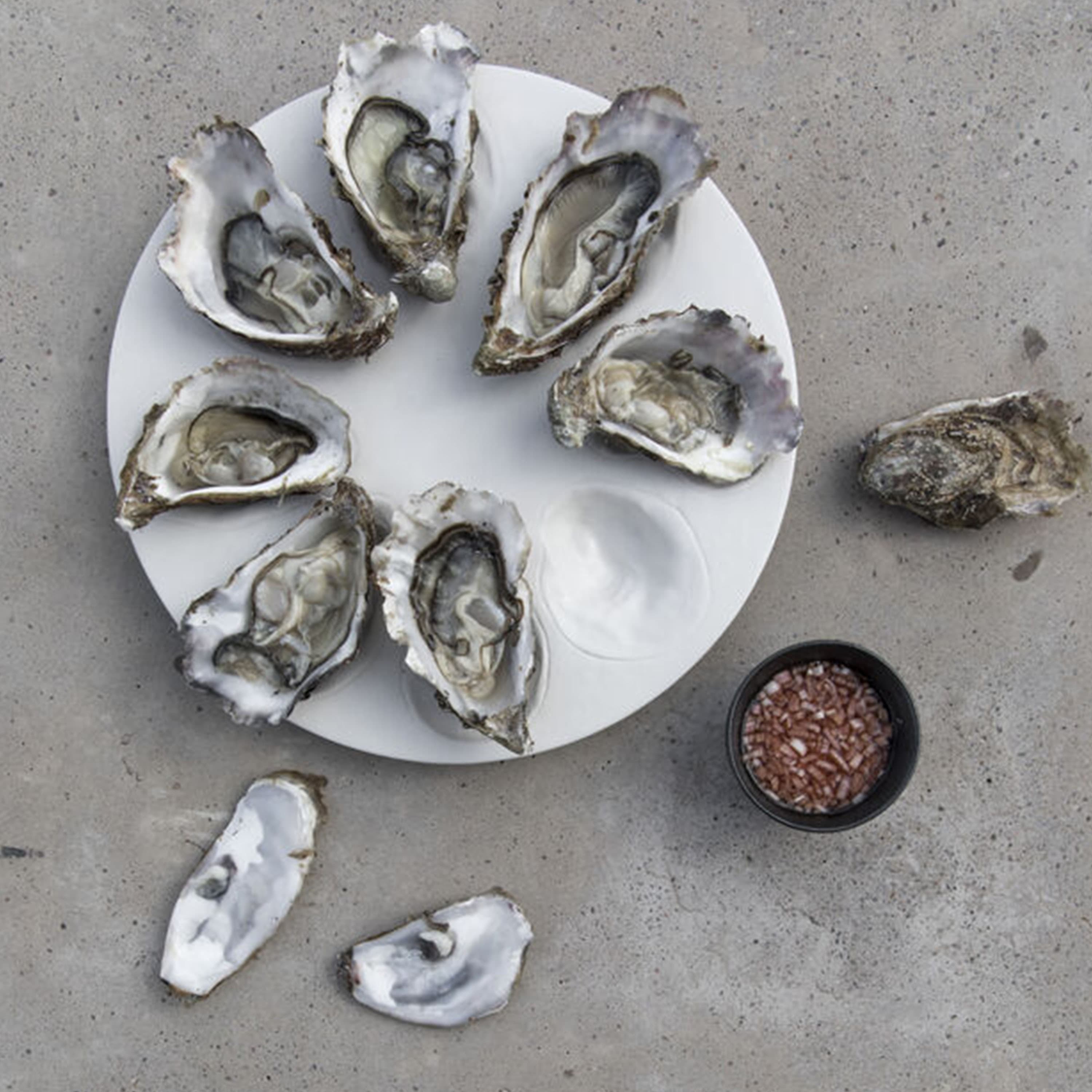 Oyster Tarjoiluvati White Ø27