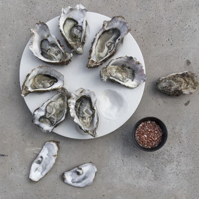 Oyster Tarjoiluvati White Ø27