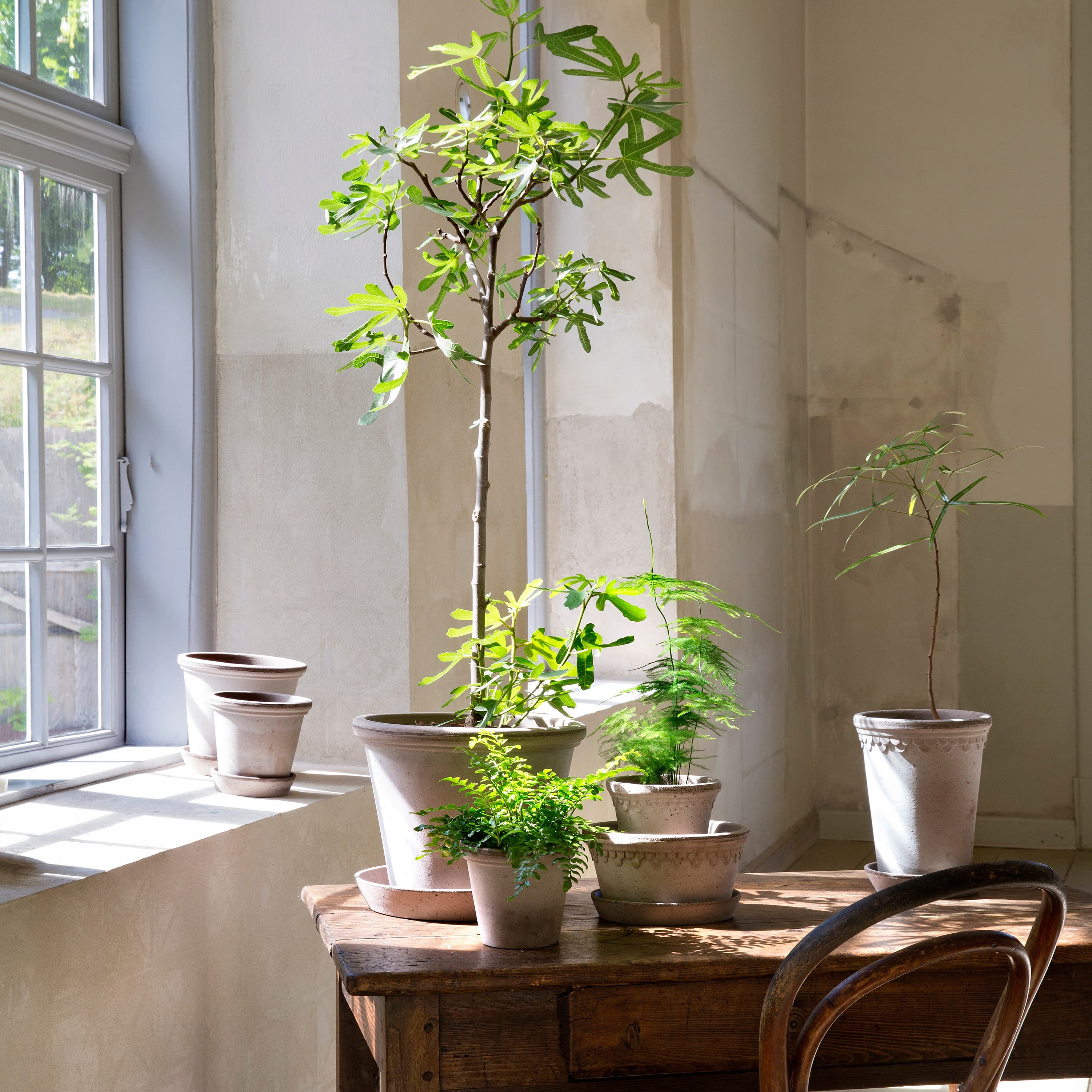 Københavner Tall Pot lautasella Raw Grey Terracotta Ø14