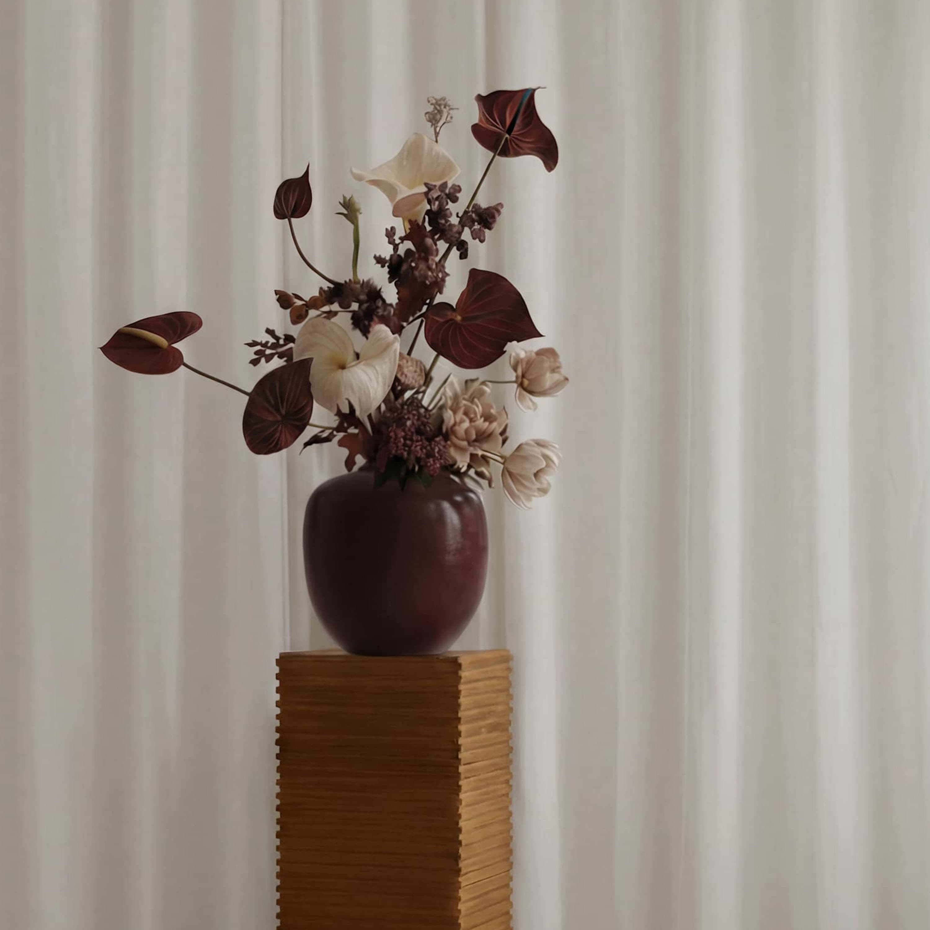Sunao Maljakko Chocolate Brown Medio