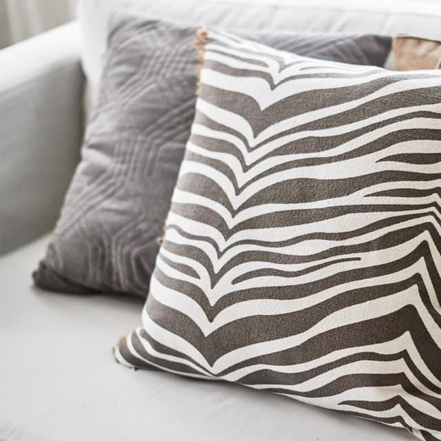 Zebra Koristetyyny Titaani 40x60