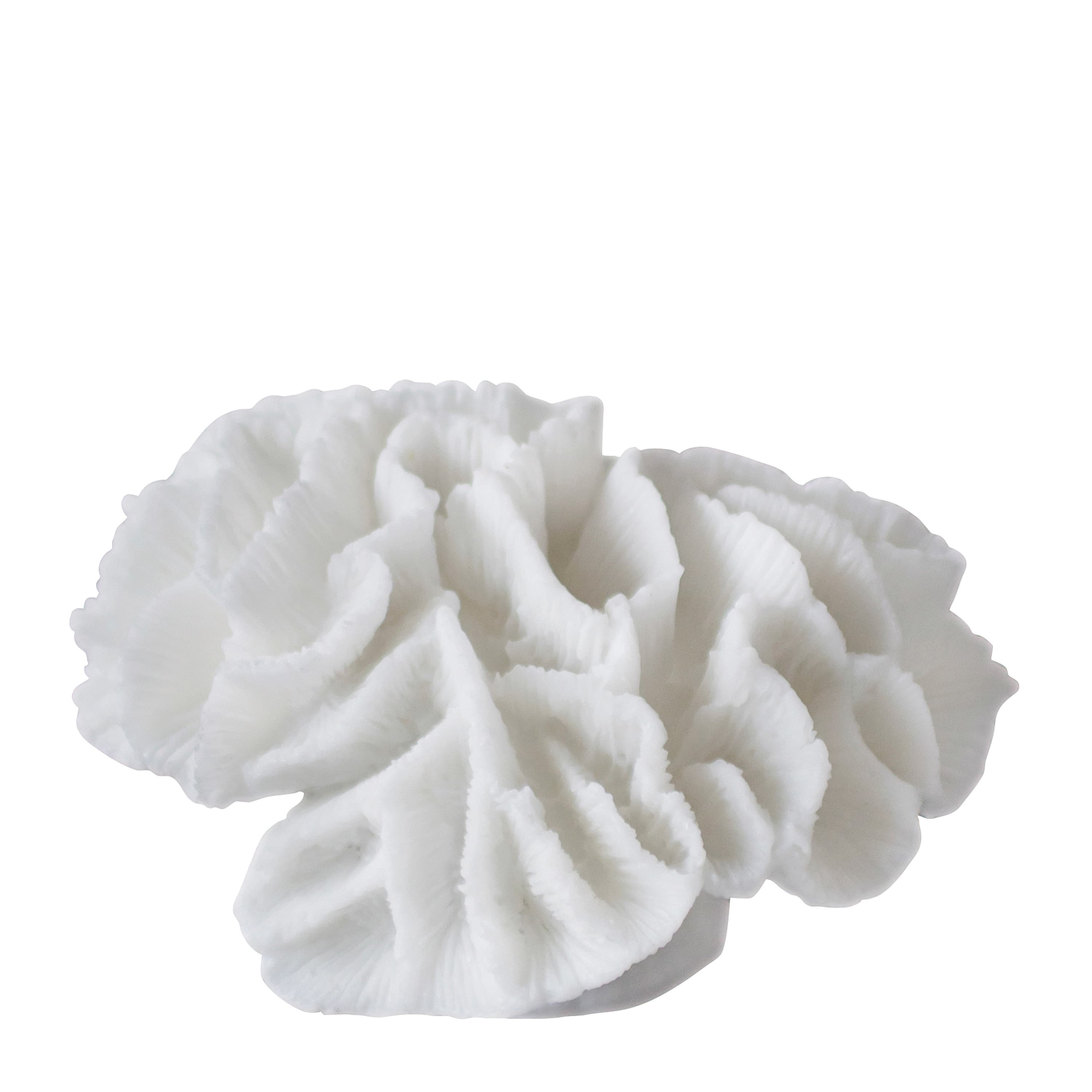 Coral Gills Dekoraatio Valkoinen