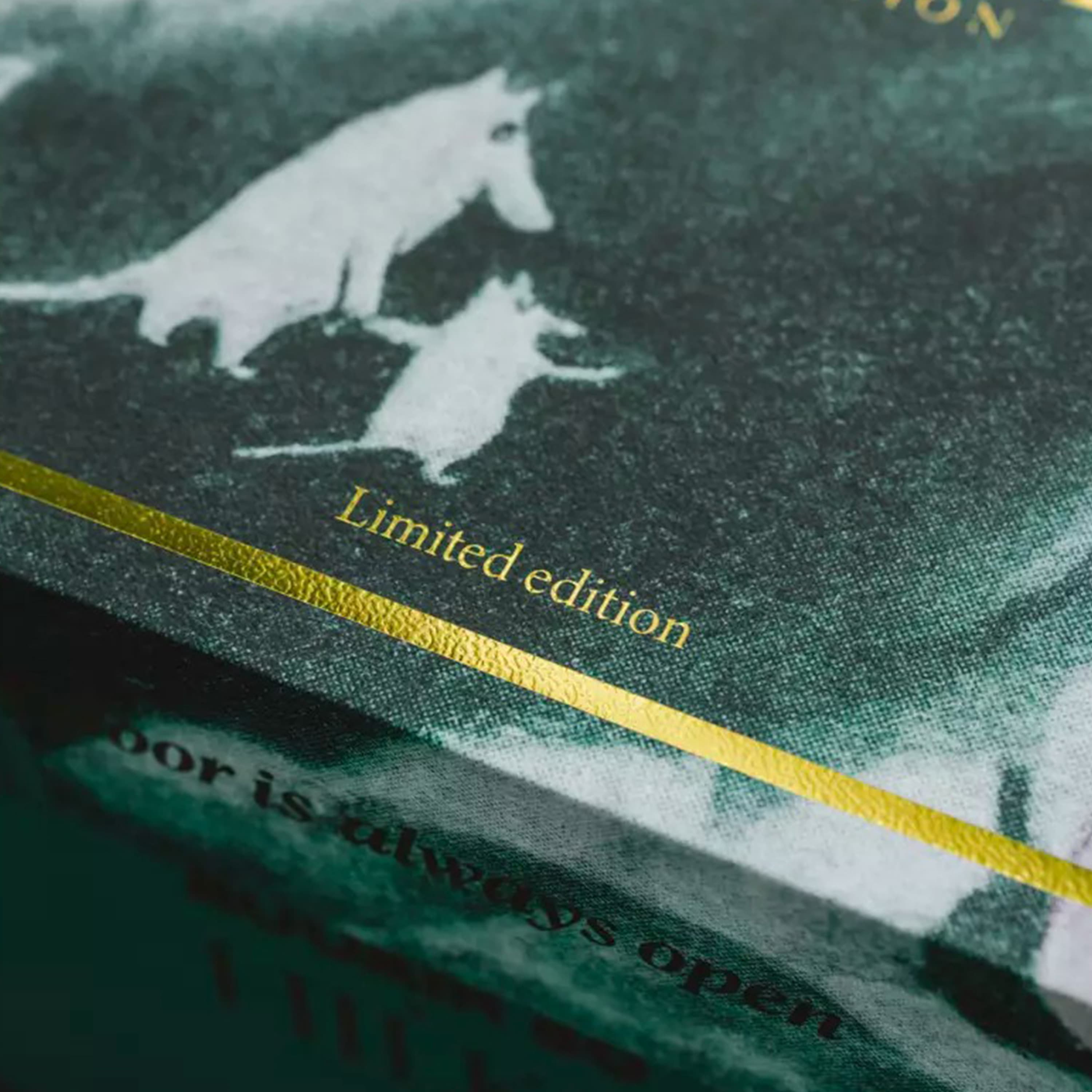 Hilke X Muumi Kannu Hopea 1.5L