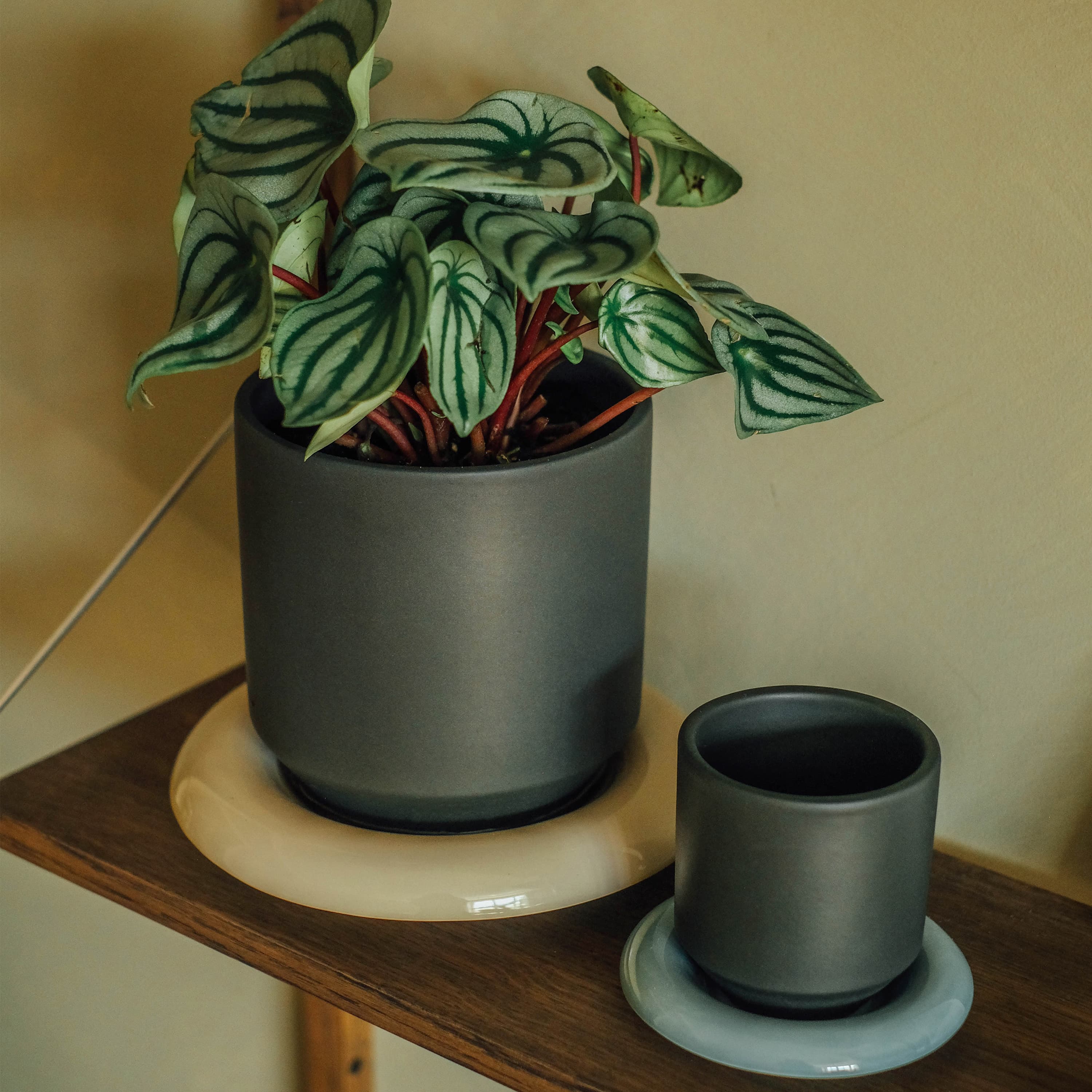 Lily‑tarjotin lasitettu Sandstone Ø21
