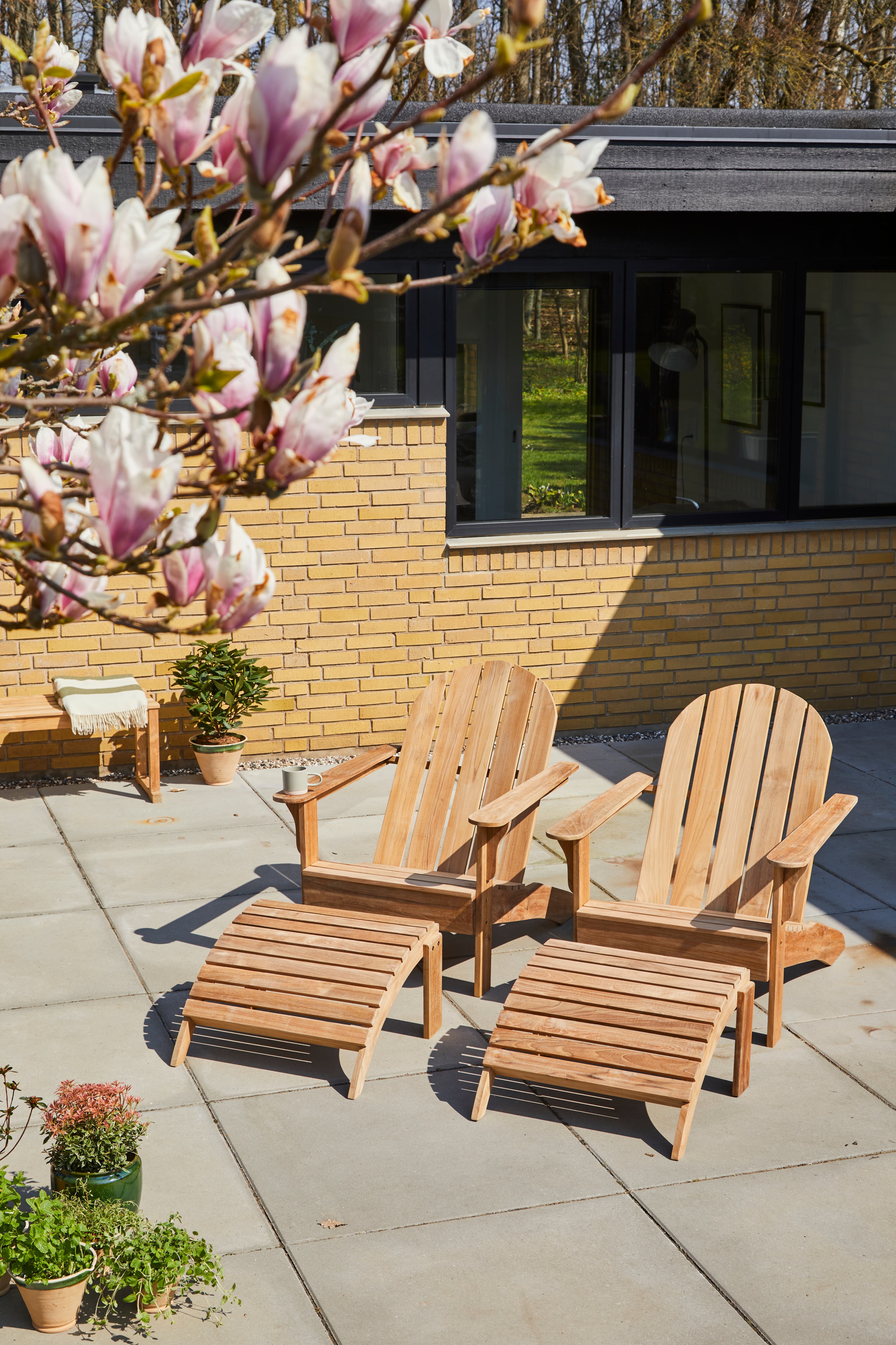 Adirondack Rahi Teak