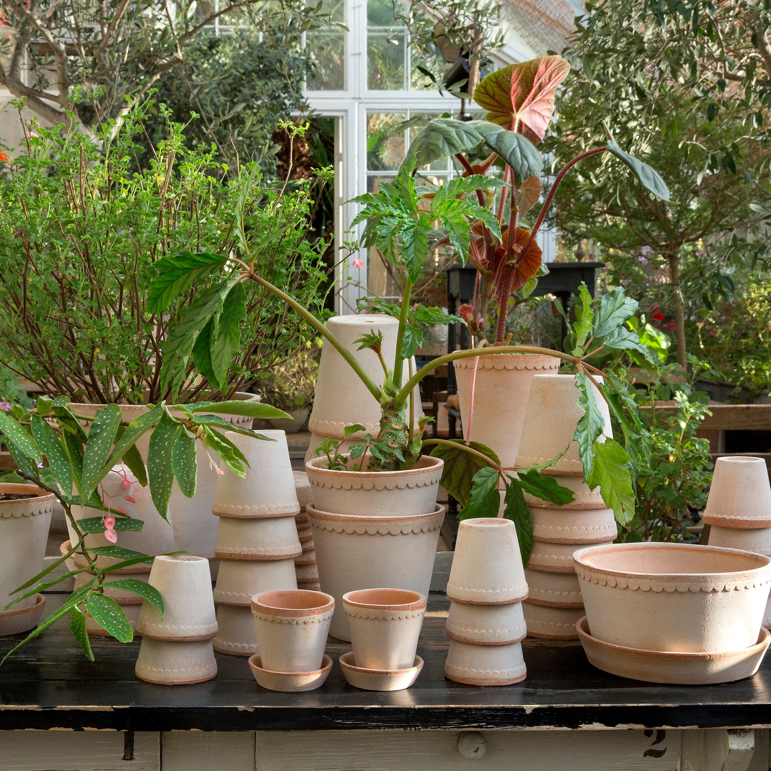 Helena Ruukku lautasella Raw Pink Terracotta Ø18