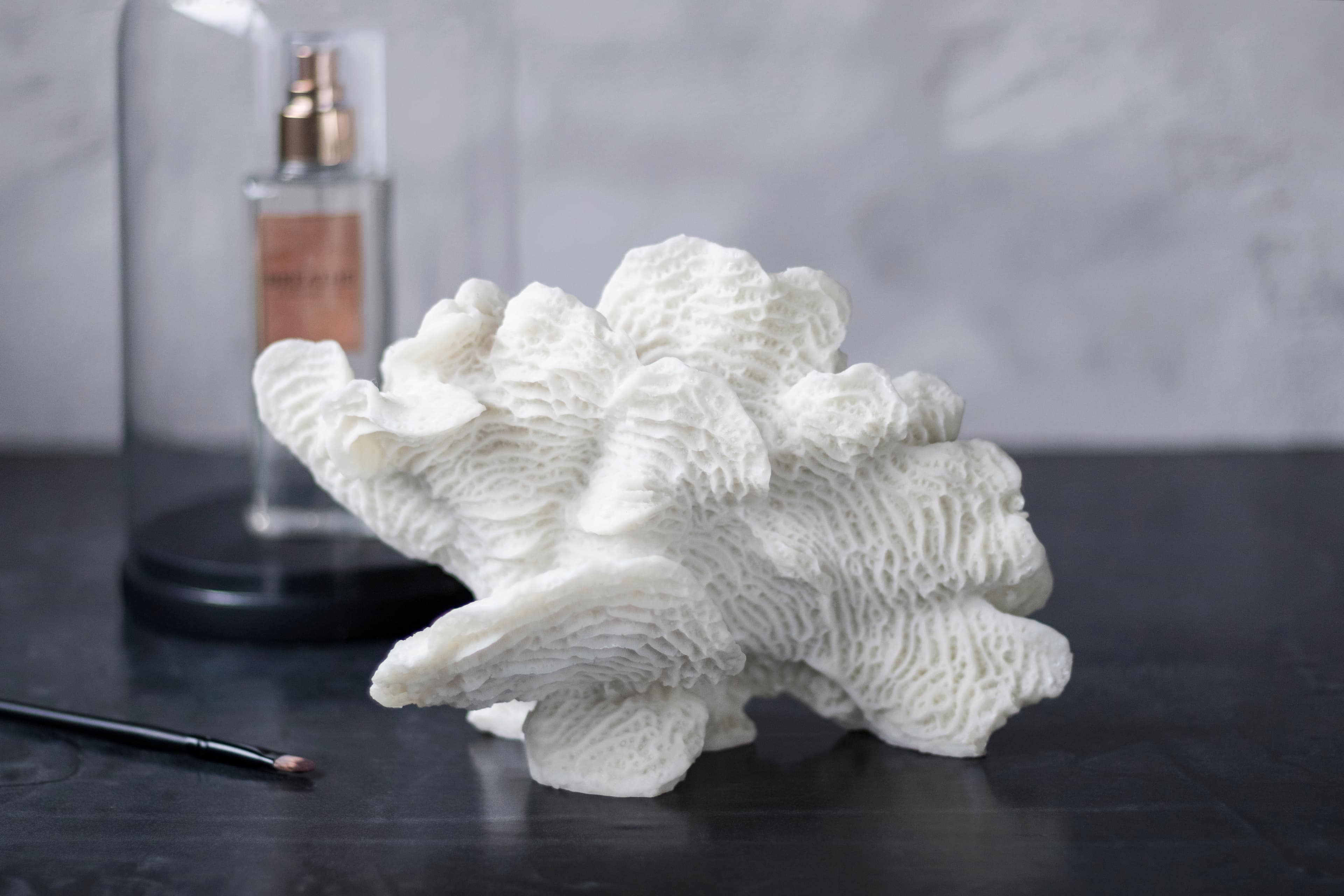 Coral Fan Dekoraatio Valkoinen