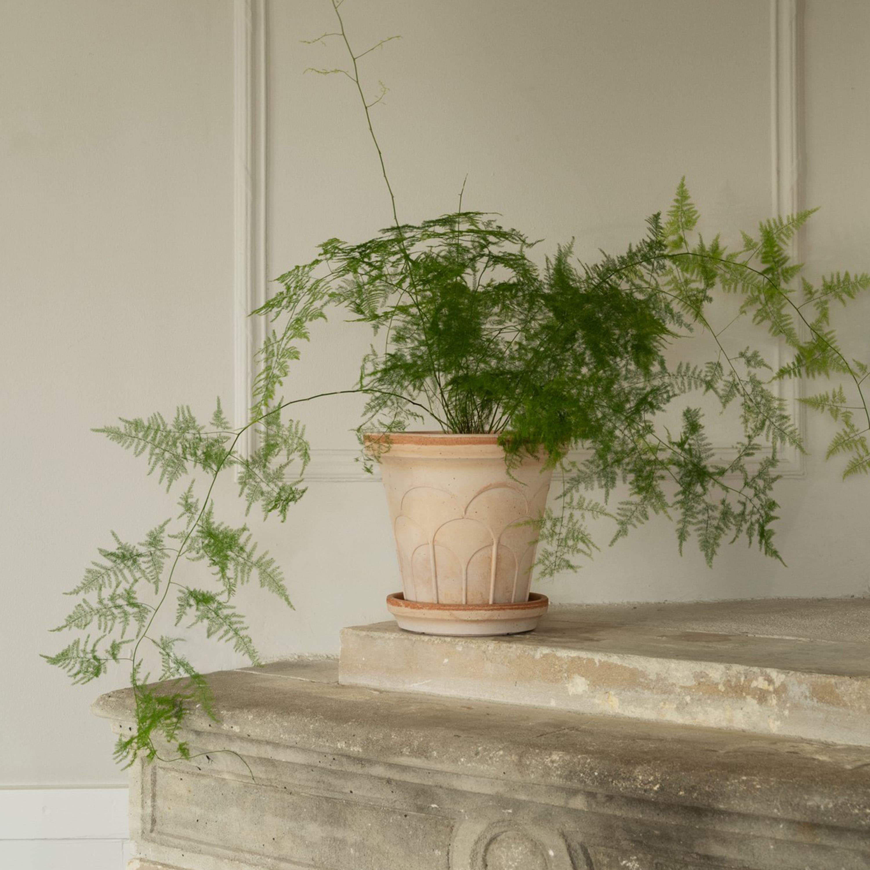 Fleur Ruukku aluslautasella Raw Rosa Ø25