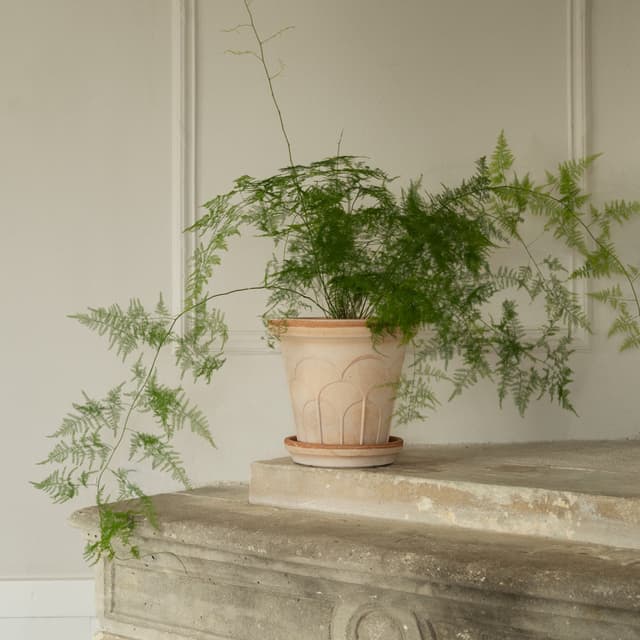 Fleur Ruukku aluslautasella Raw Rosa Ø25