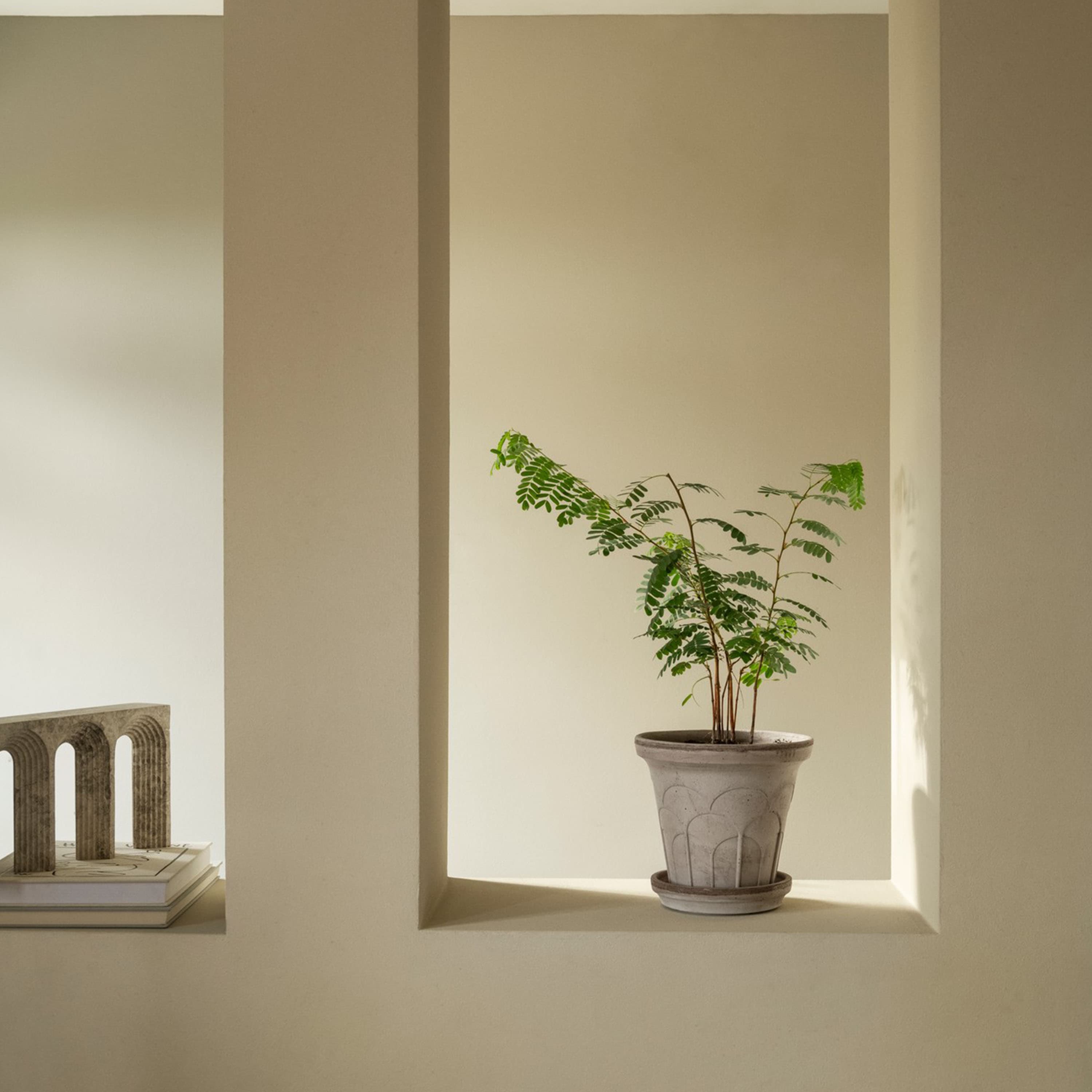 Fleur Ruukku aluslautasella Raw Grey Ø21