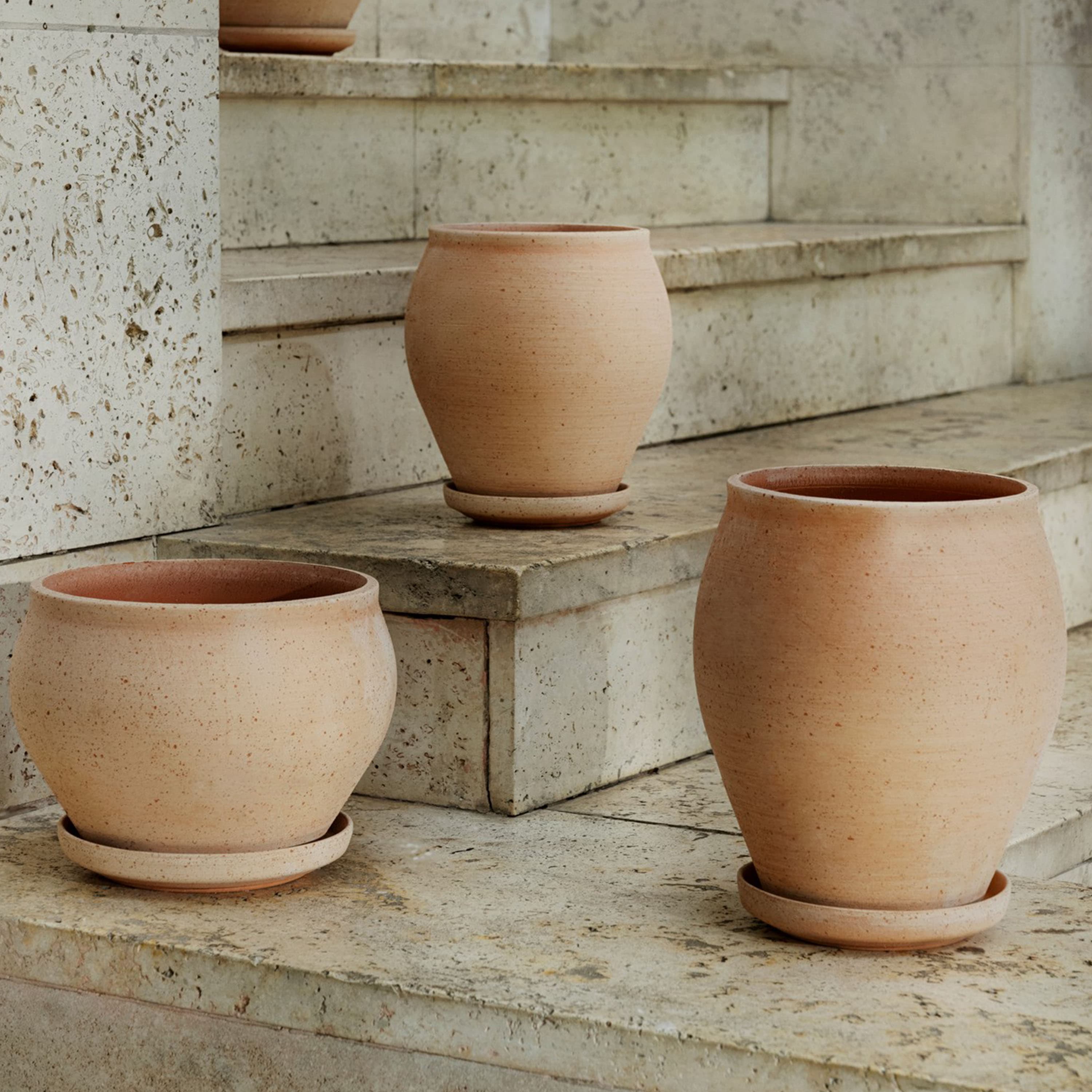 Delphi Ruukku aluslautasella Raw Rosa Tall Ø22
