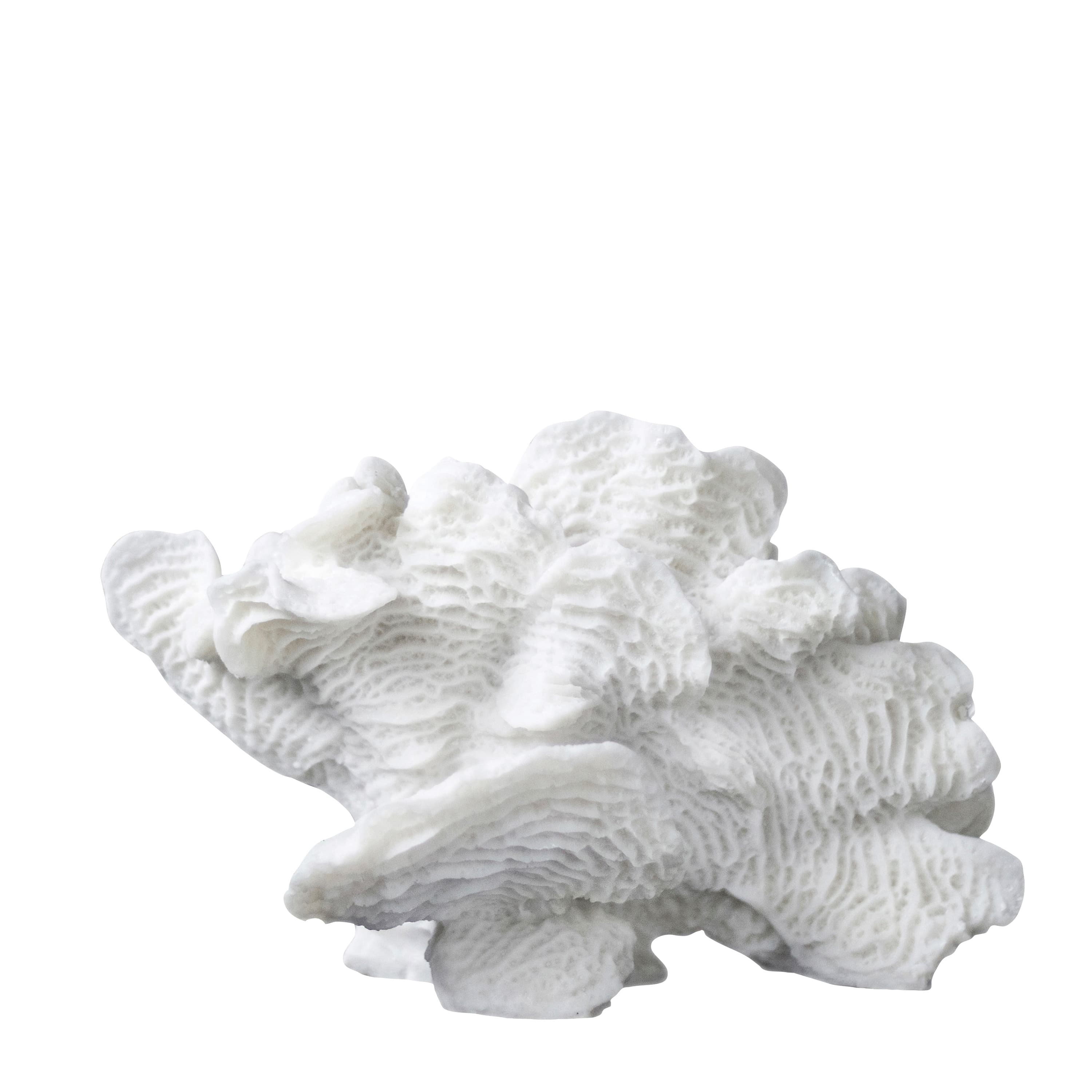 Coral Fan Dekoraatio Valkoinen