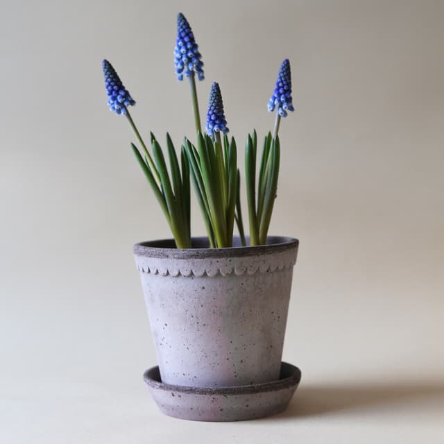 Helena‑ruukku aluslautasella Raw Grey Terrakotta Ø25