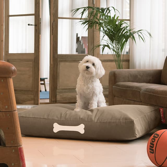 Doggielounge Recycled Taupe-harmaa 120 cm
