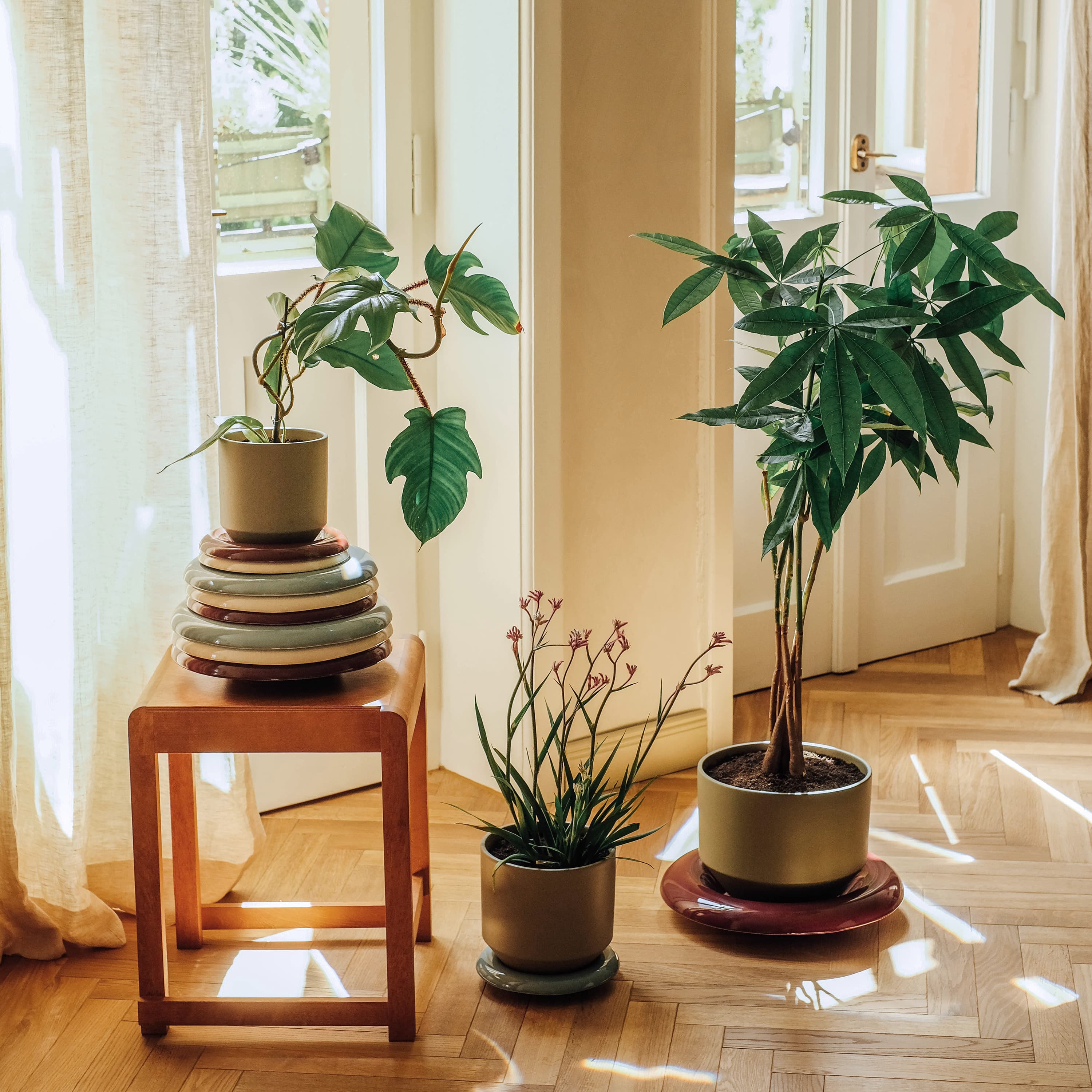 Lily‑tarjotin lasitettu Sandstone Ø21
