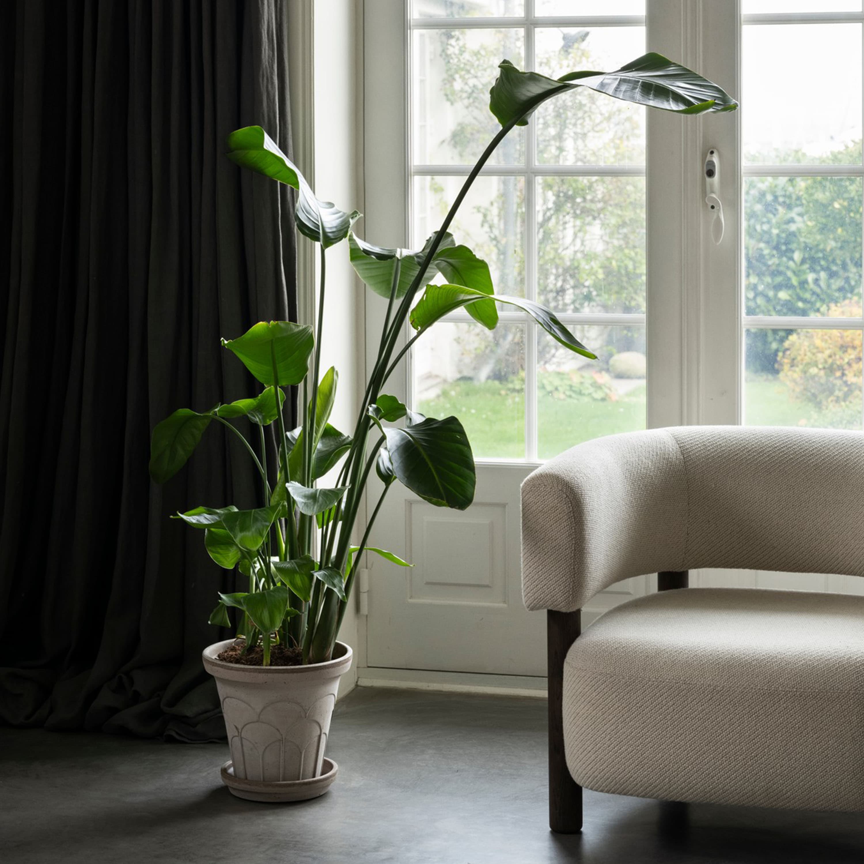 Fleur Ruukku aluslautasella Raw Grey Ø25