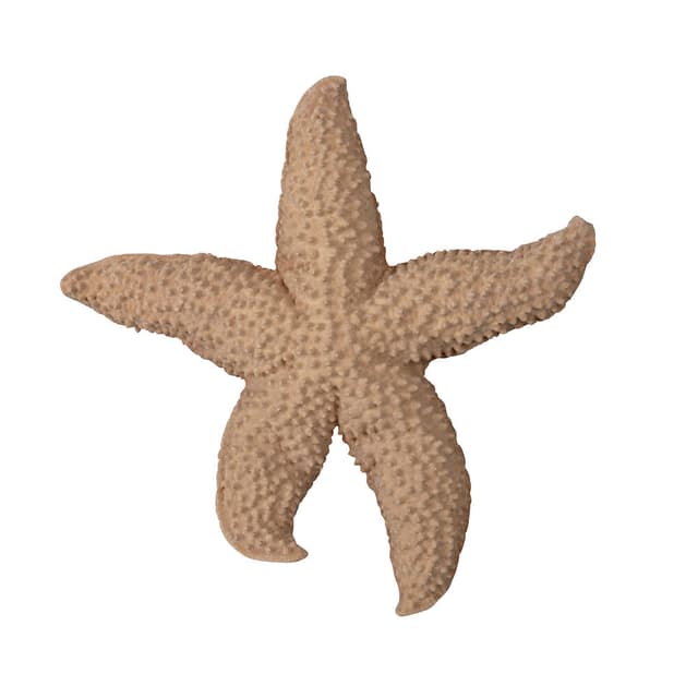 Sea Star Mandy Dekoraatio Beige