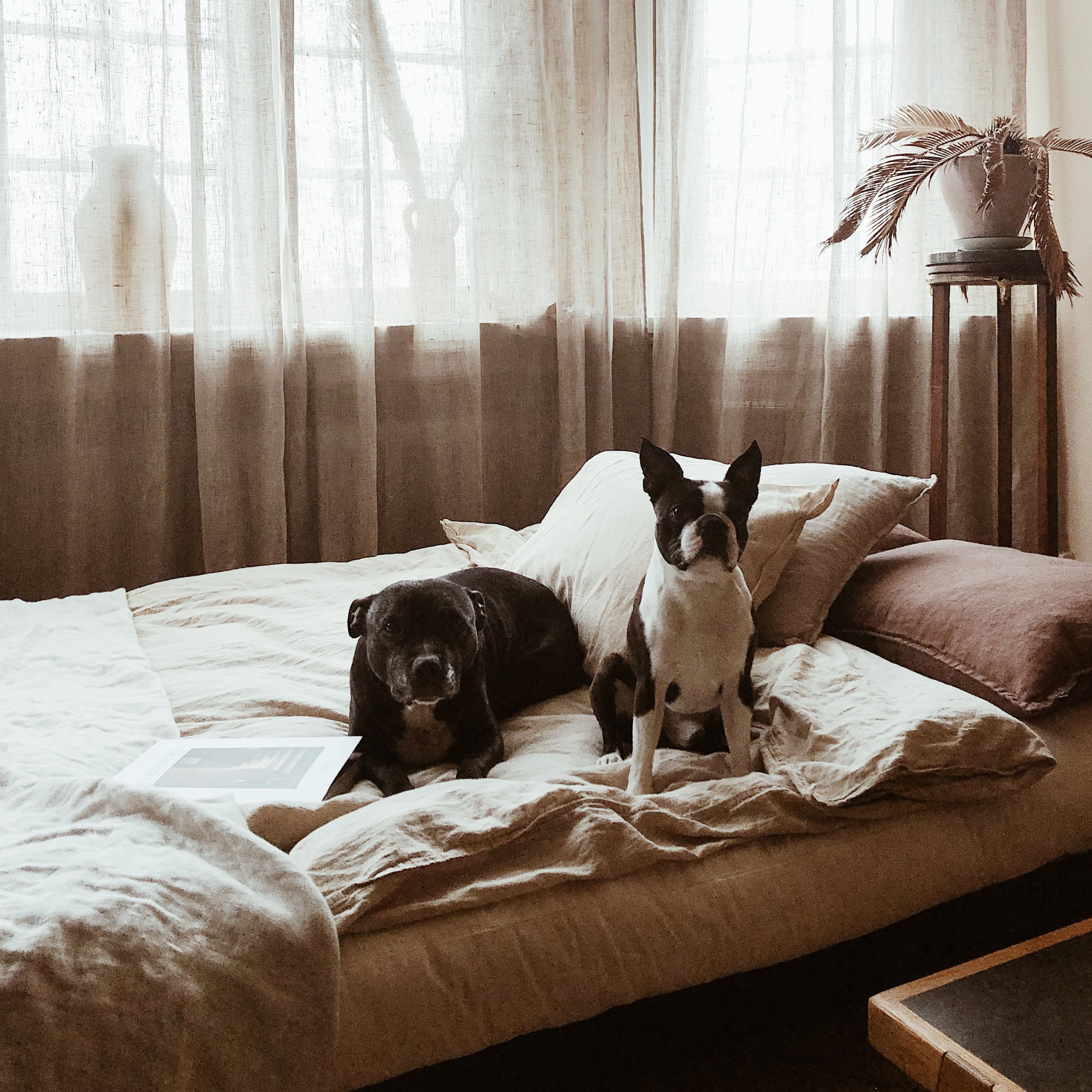Fresh Vuodesohva Luonnollinen/Beige 200 cm