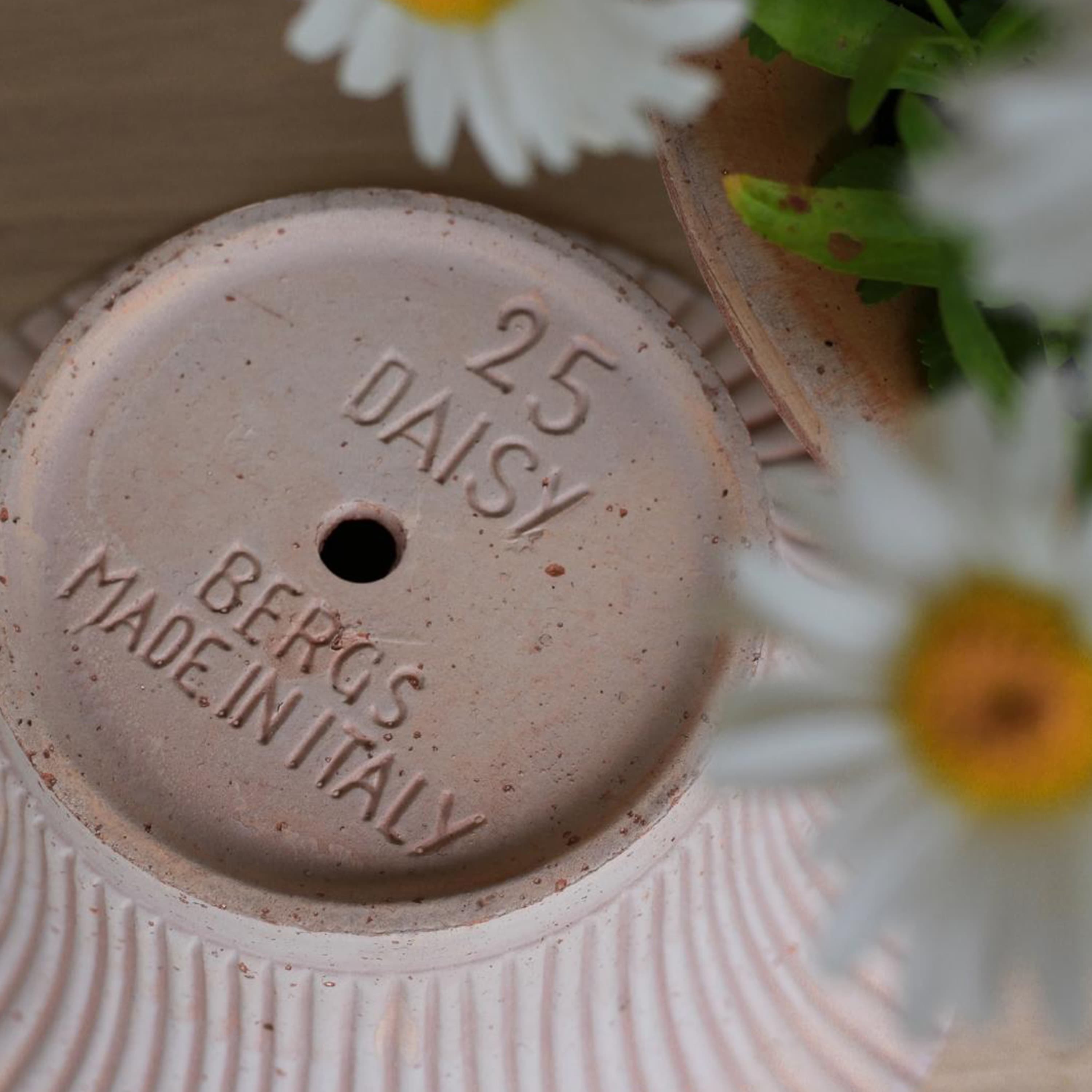 Daisy‑ruukku aluslautasella Raw Rosa Terrakotta Ø25