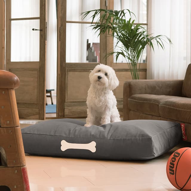Doggielounge Recycled Hiilenharmaa 120 cm