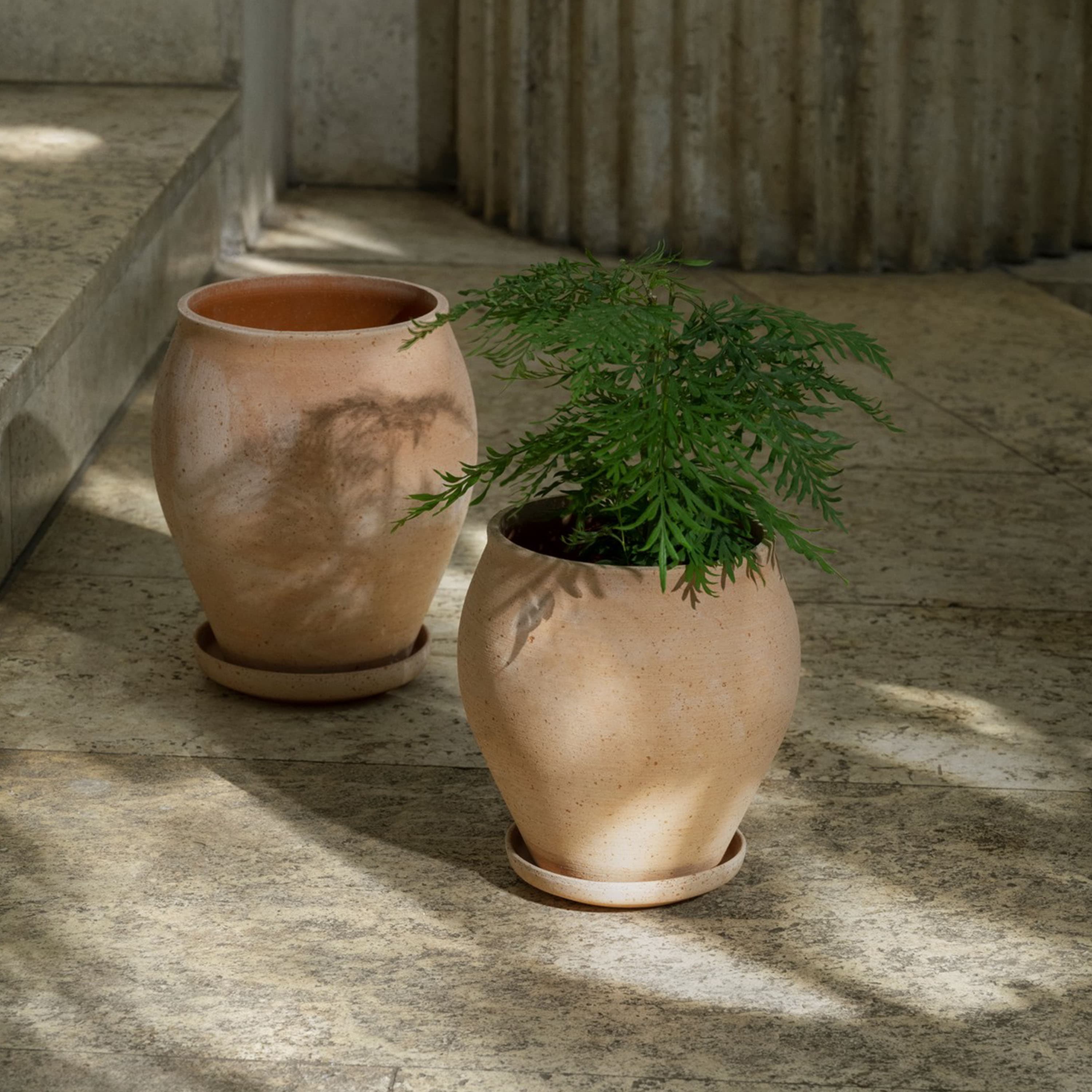 Delphi Ruukku aluslautasella Raw Rosa Ø20