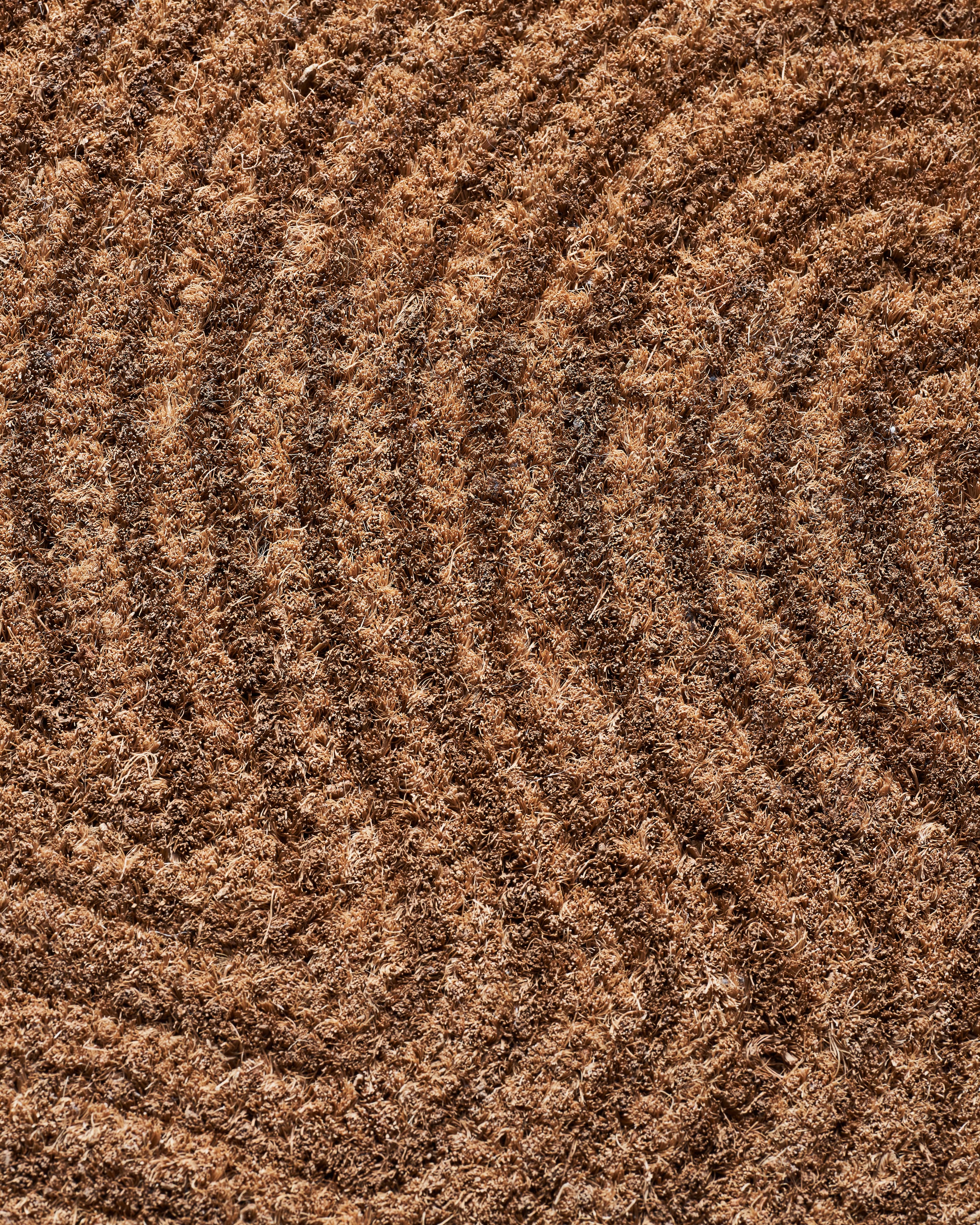 Trip Ovimatto Luonto 60x90