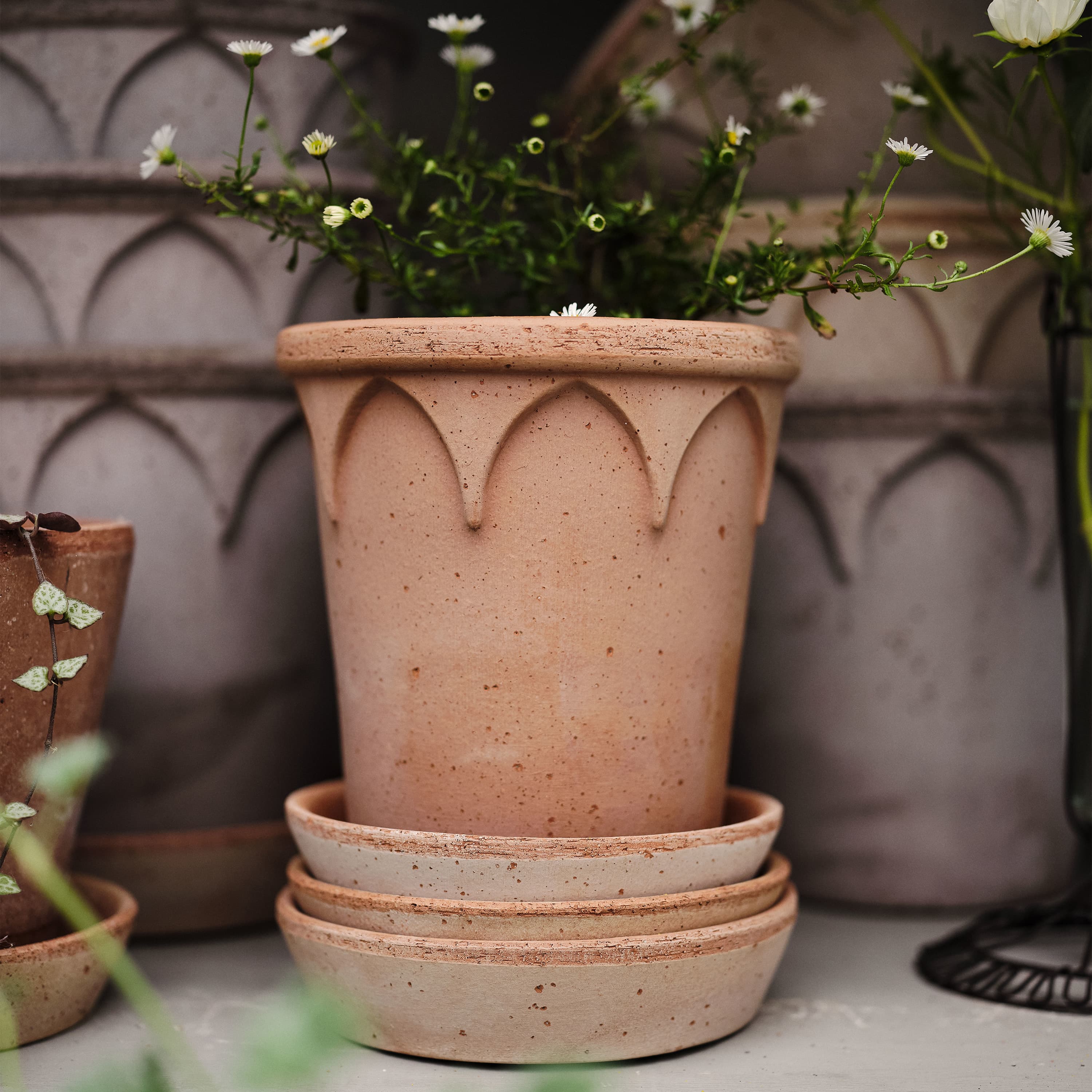 Elizabeth‑ruukku aluslautasella Raw Rosa Terrakotta Ø18