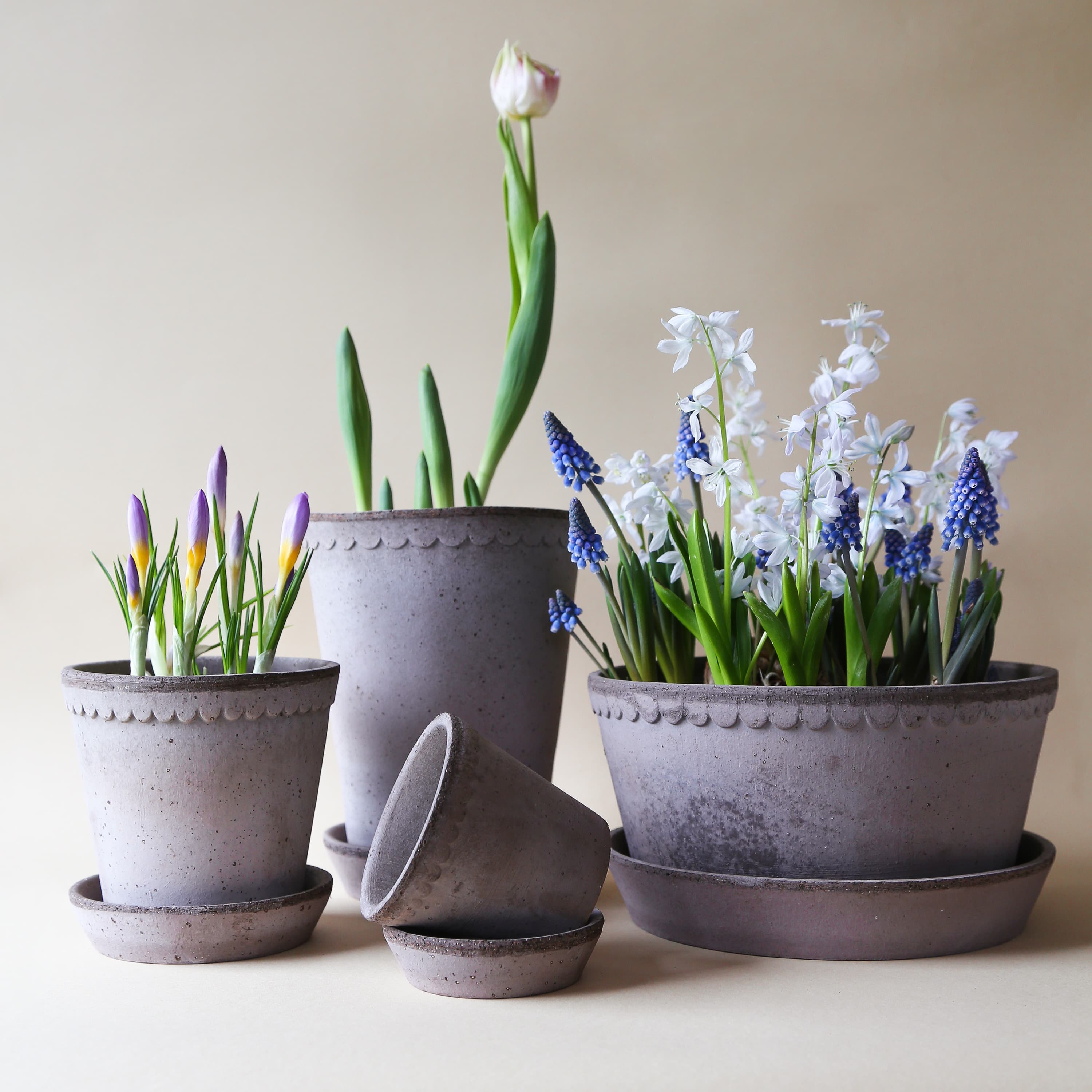 Helena‑ruukku aluslautasella Raw Grey Terrakotta Ø21