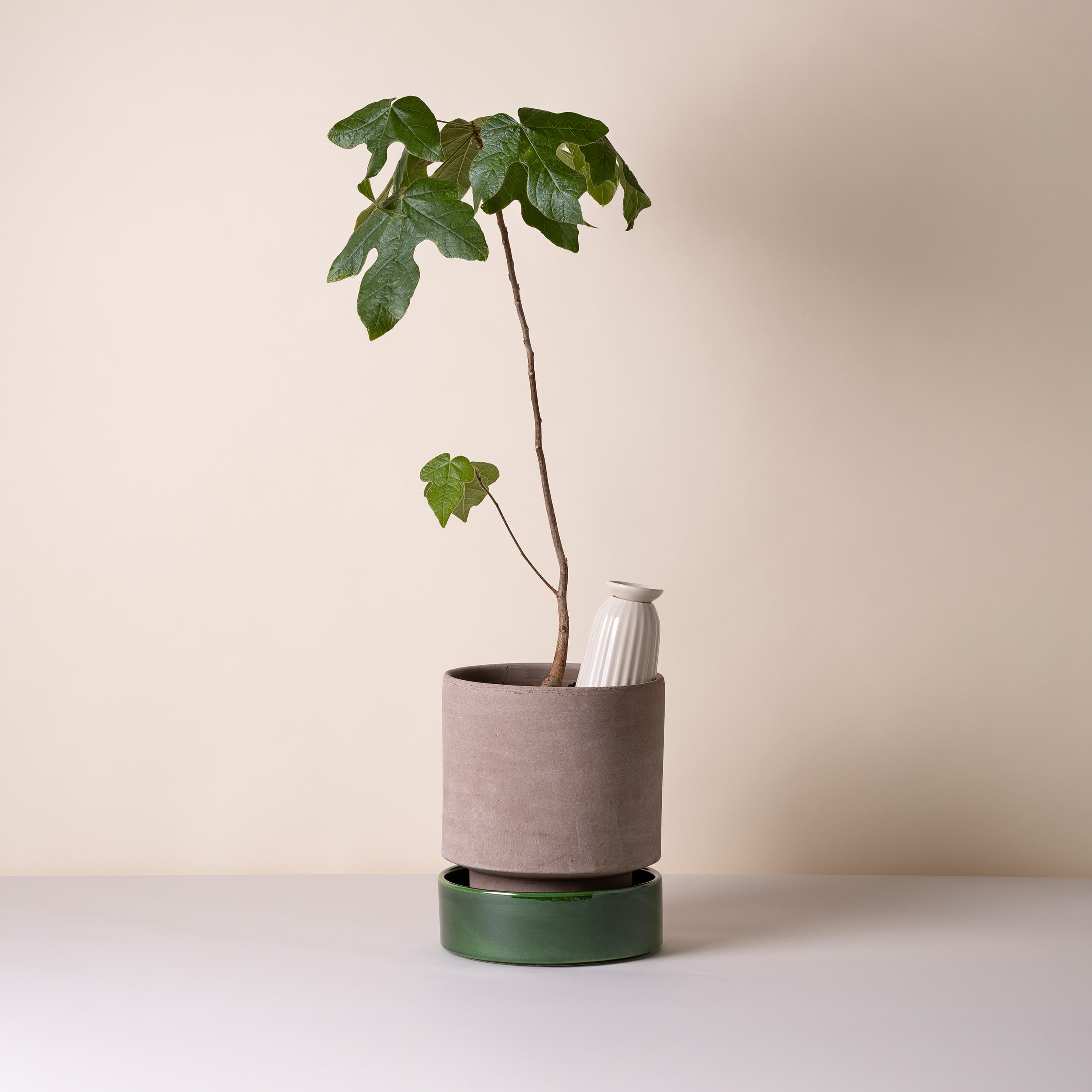 Hoff‑tarjotin lasitettu Deep Emerald Green Ø30