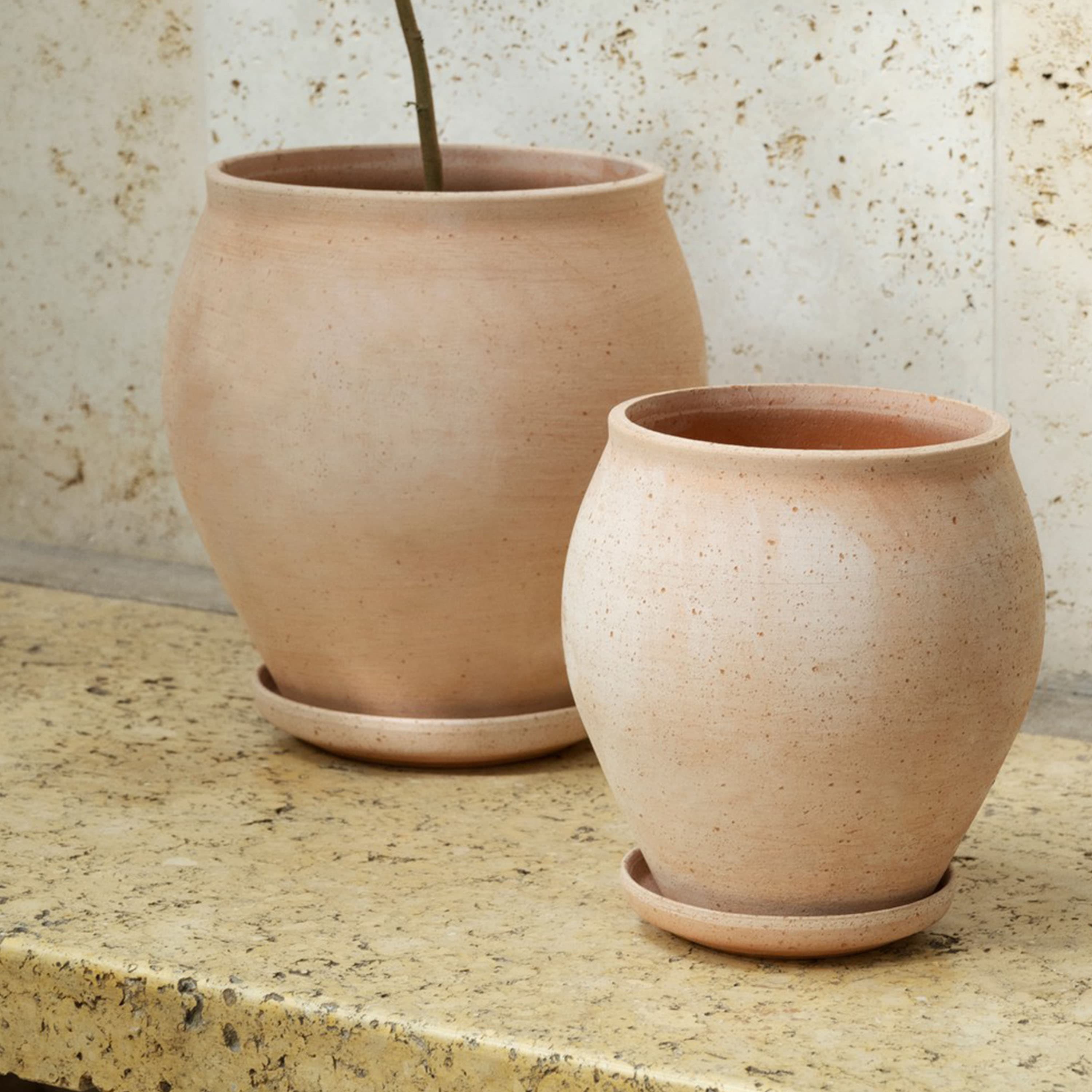 Delphi Ruukku aluslautasella Raw Rosa Ø26