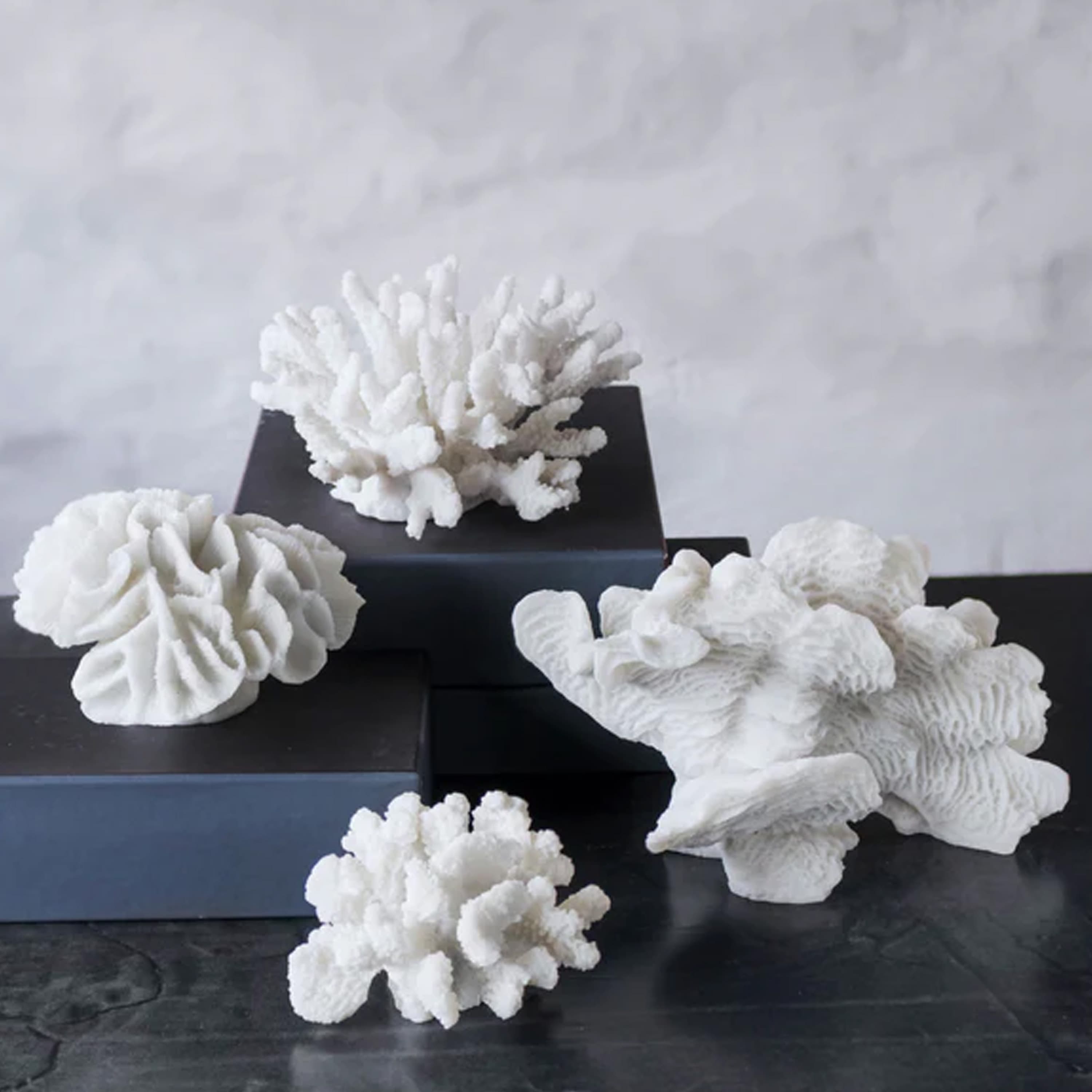 Coral Branches koriste white s